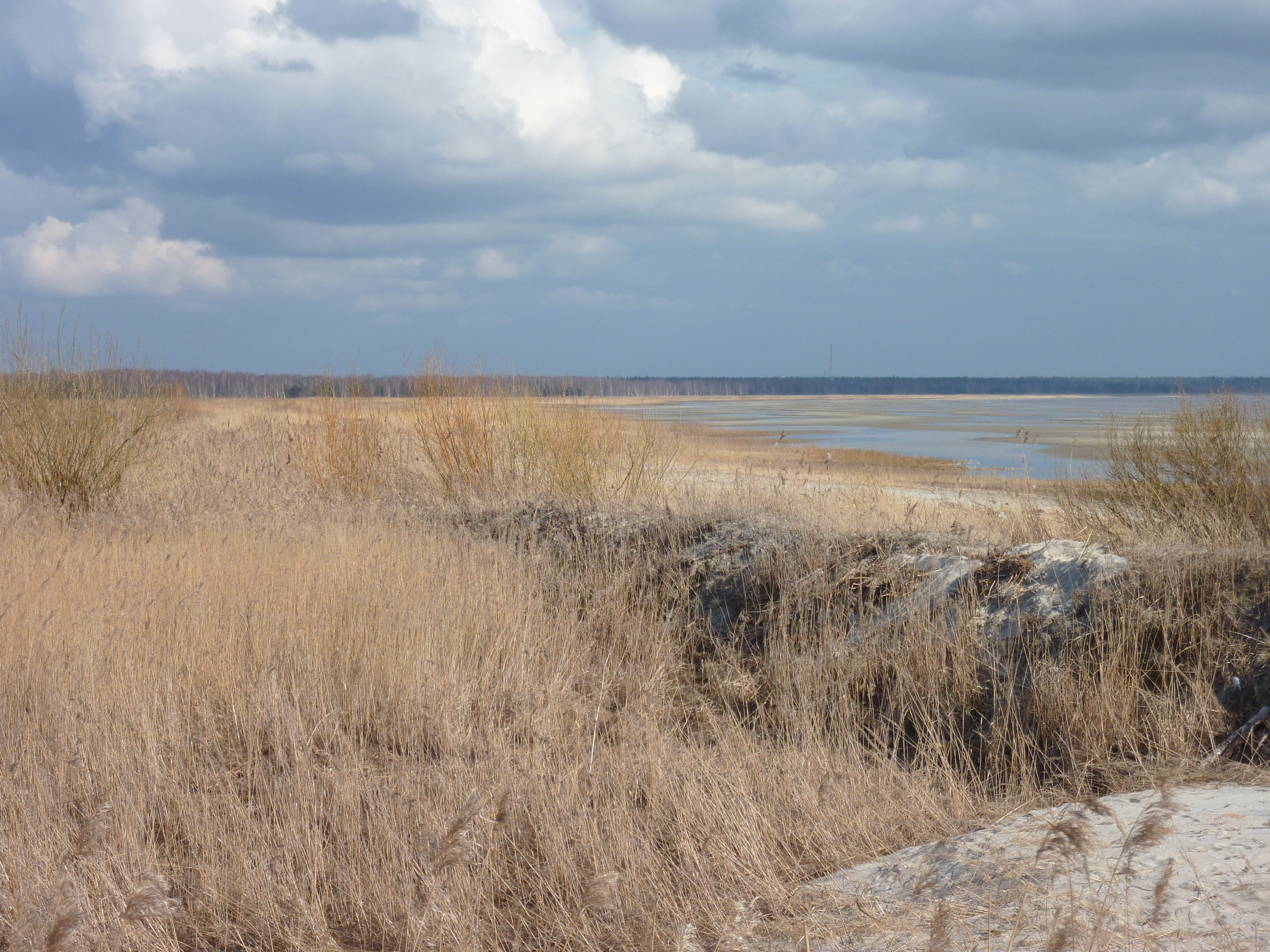 照片 爱沙尼亚(Estonia) 派尔努(Parnu) 2009-04 0
