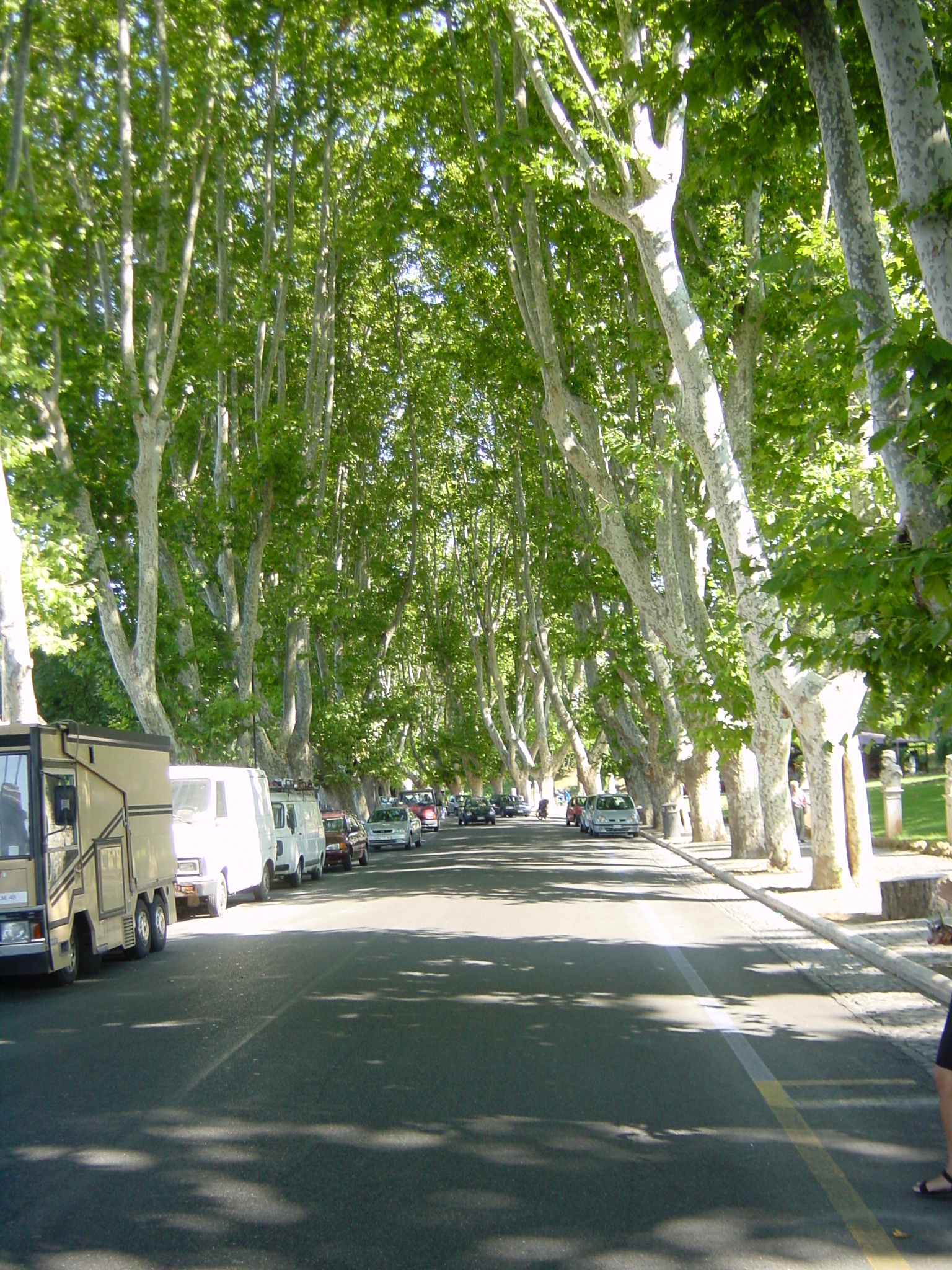 照片 意大利(Italy) 罗马(Rome) 2002-07 155
