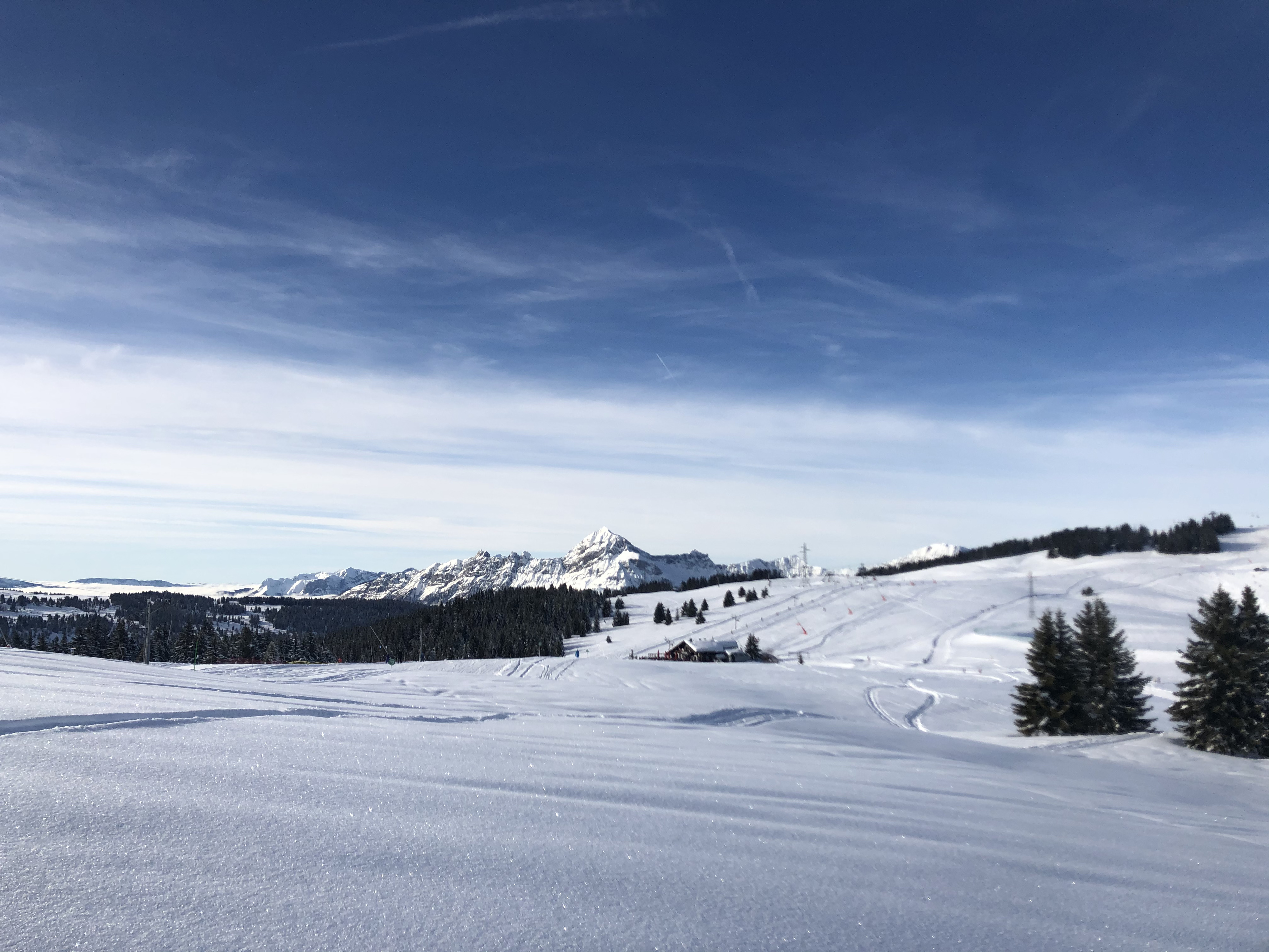 照片 法国(France) 阿尔利河畔普拉(Praz sur Arly) 2019-12 218