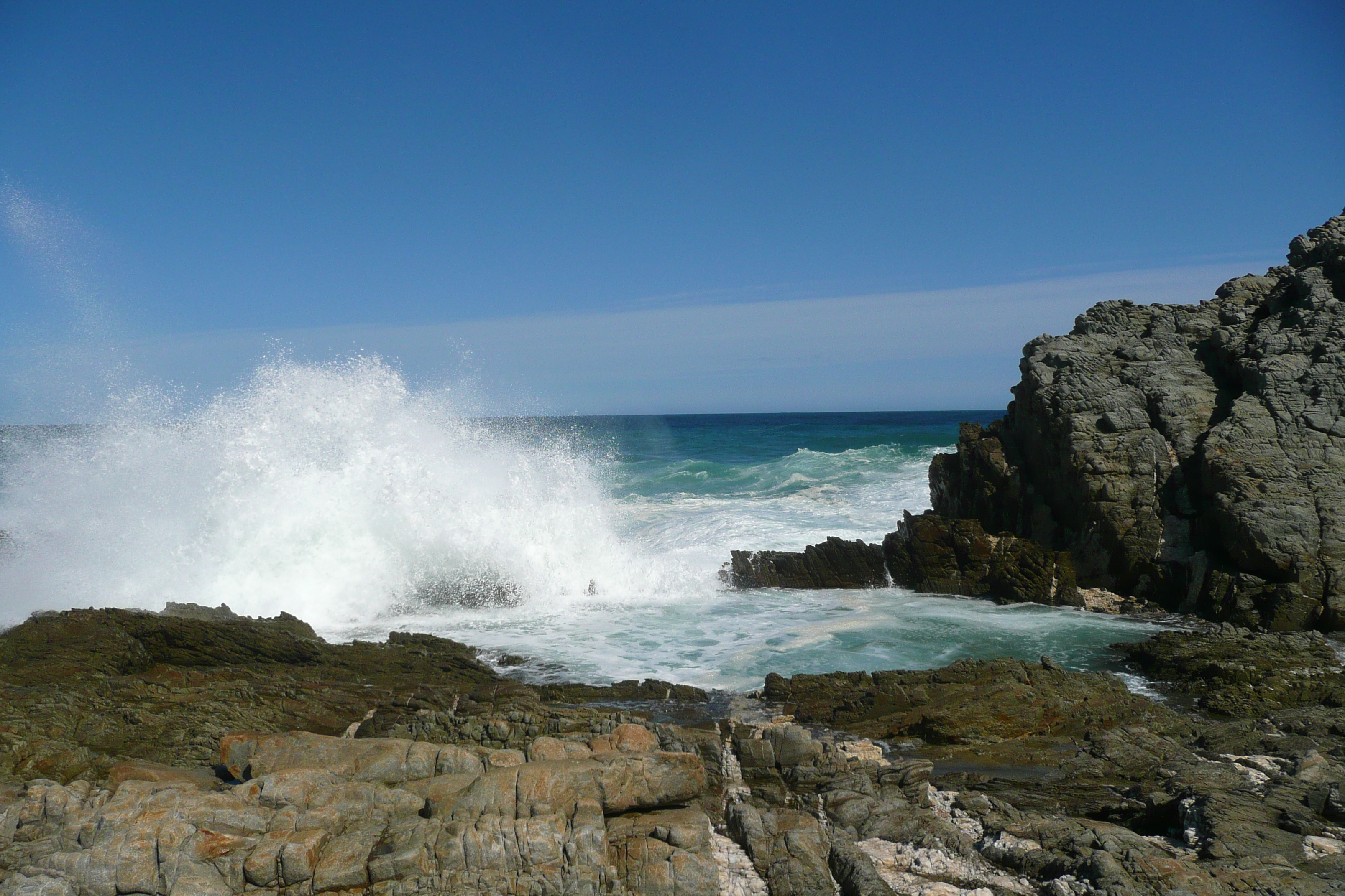 照片 南非(South Africa) 齐齐卡马国家公园(Tsitsikamma National Park) 2008-09 32