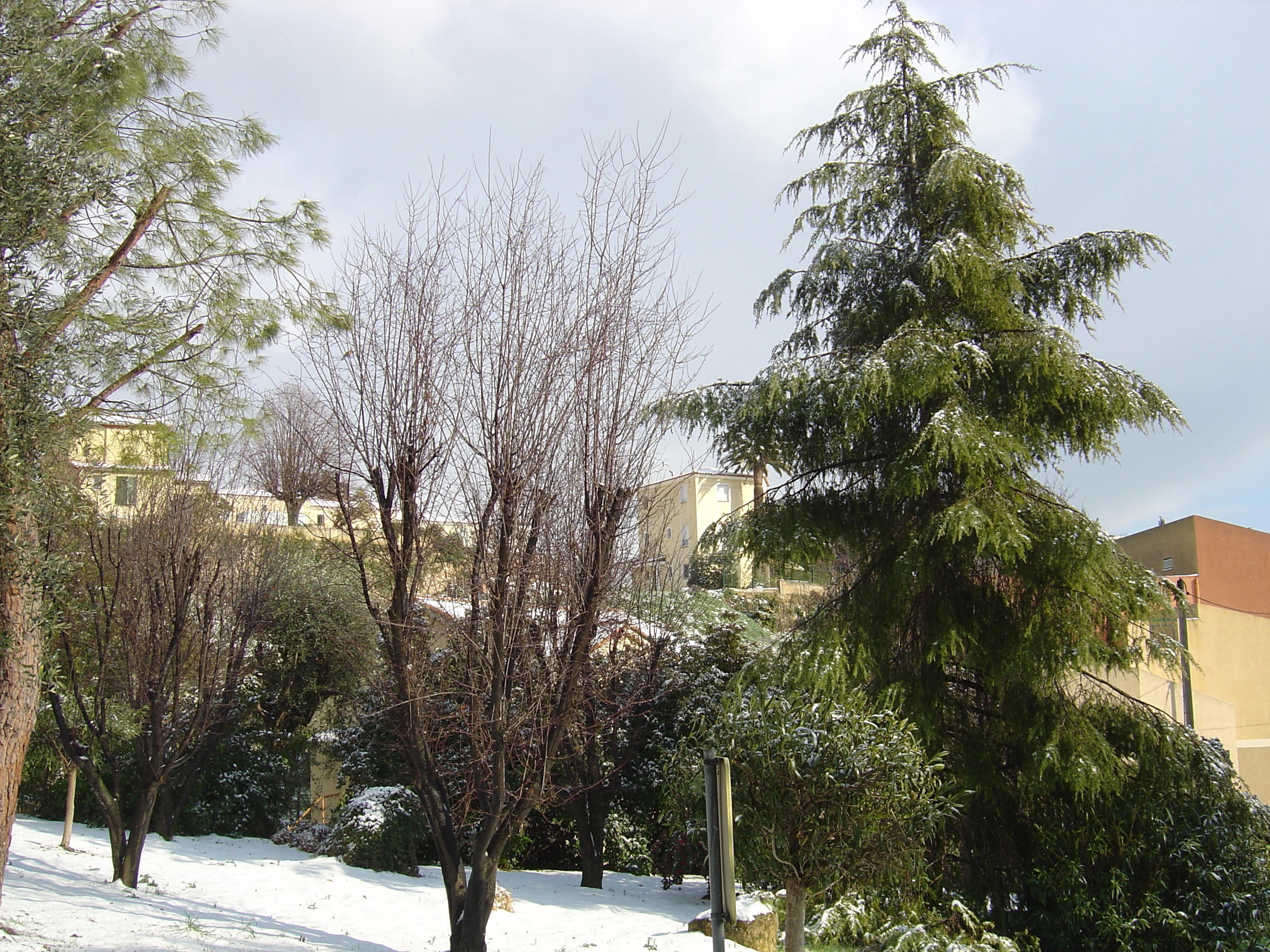 照片 法国(France) 旺斯(Vence) 2005-02 30