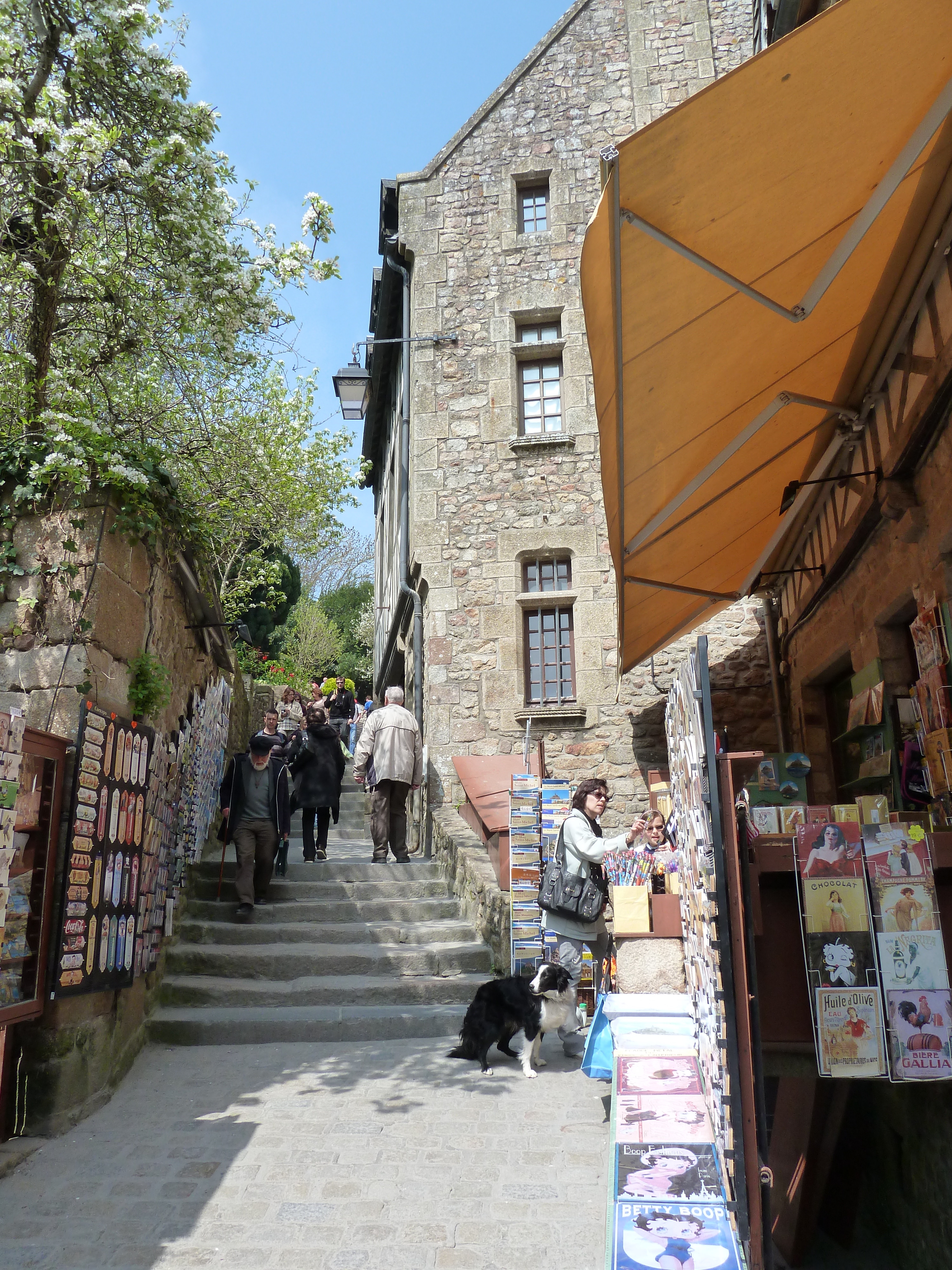 照片 法国(France) 圣米歇尔山(Mont St Michel) 圣米歇尔山村(Mont St Michel Village) 2010-04 26