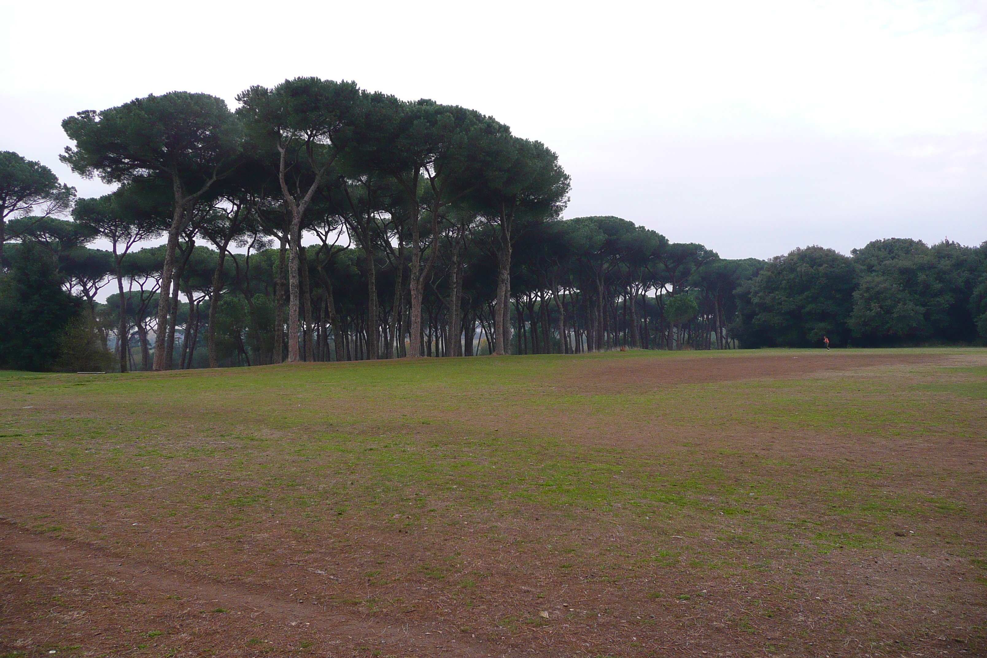 照片 意大利(Italy) 罗马(Rome) 多里亚·潘菲利别墅公园(Villa Doria Pamphili) 2007-11 17