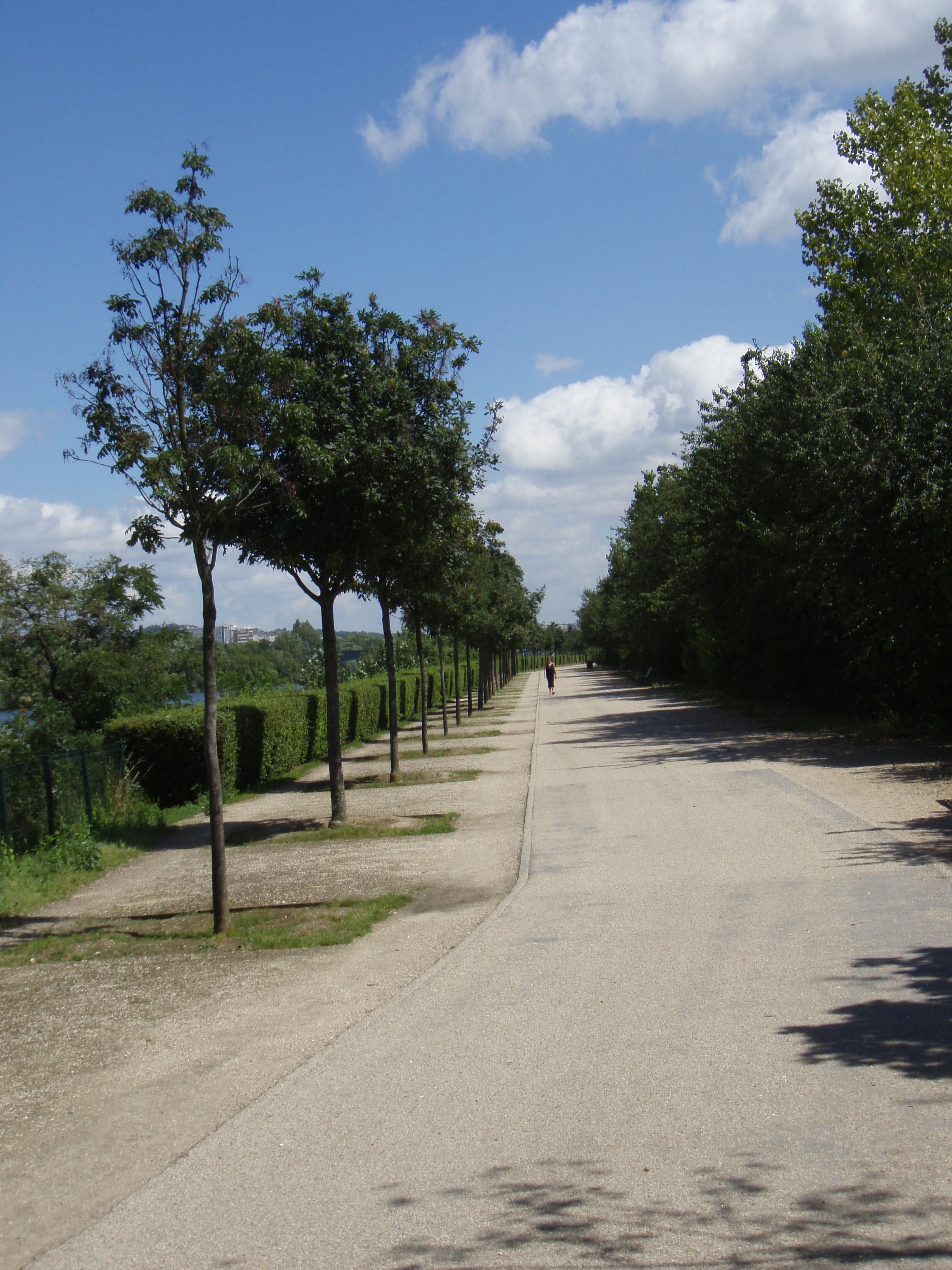 照片 法国(France) 科隆布(Colombes) 马朗特岛(L'ile Marrante) 2007-07 18