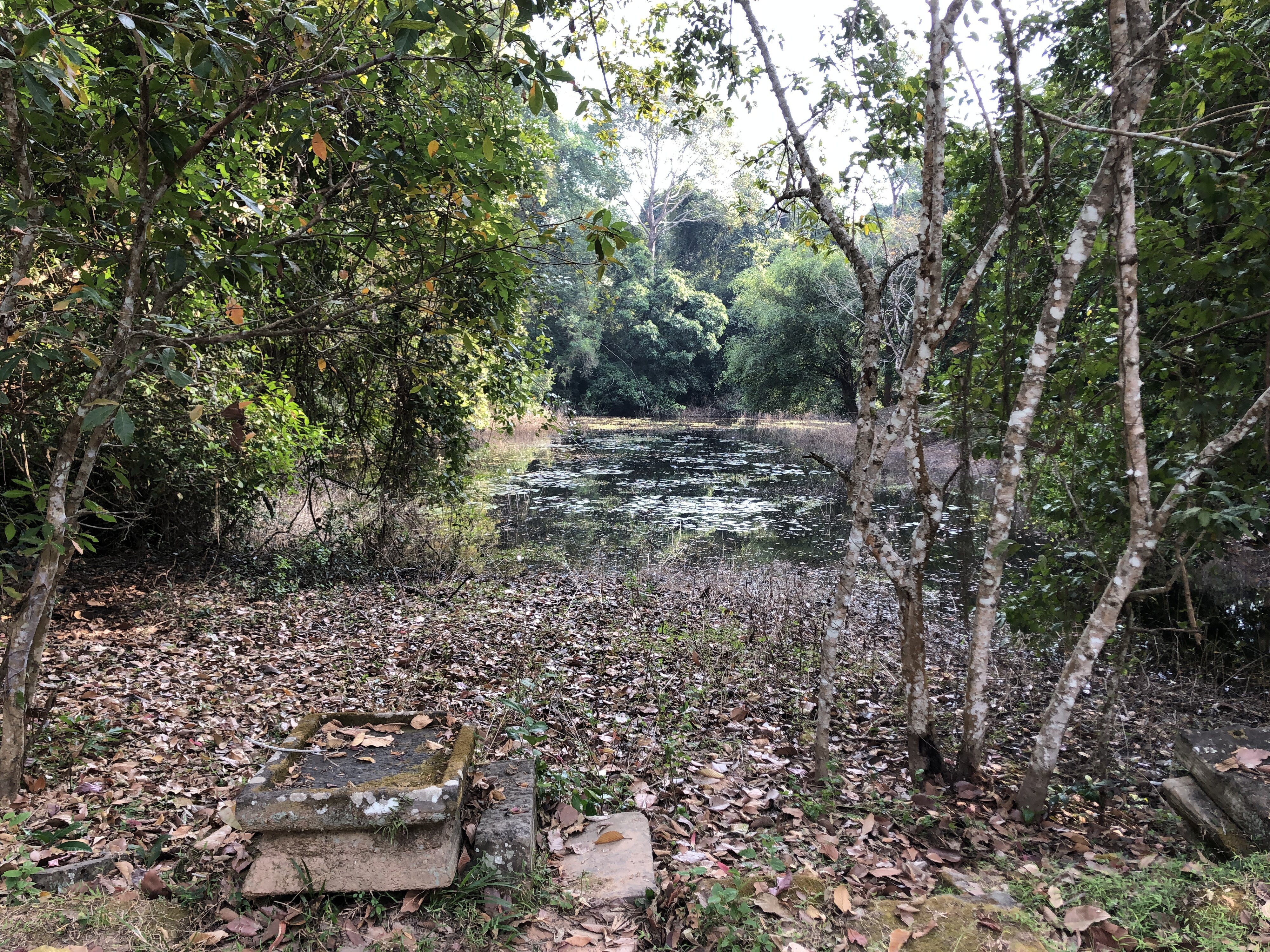 照片 柬埔寨(Cambodia) 暹粒(Siem Reap) 斑黛喀蒂寺(Banteay Kdei) 2023-01 24