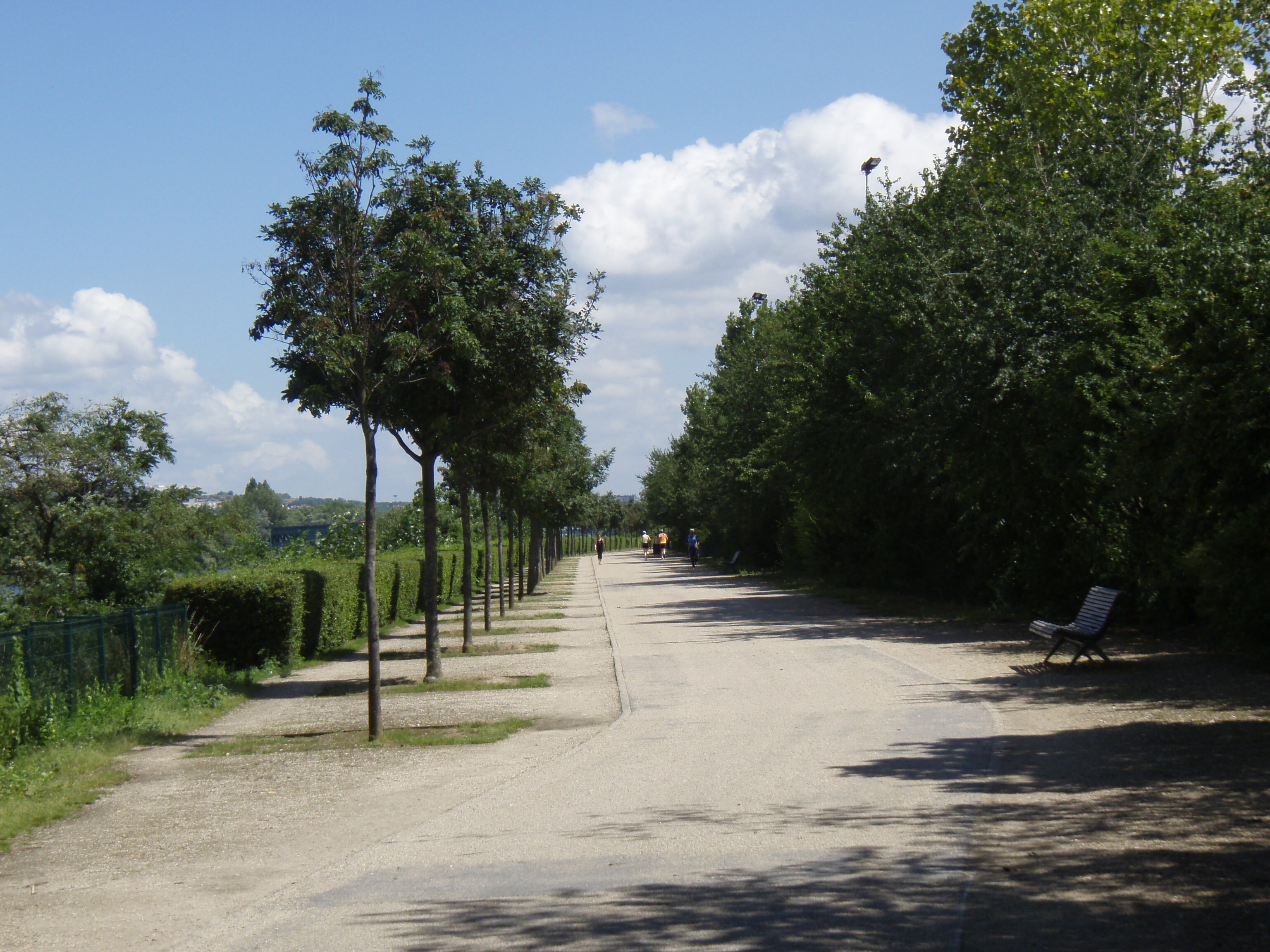 照片 法国(France) 科隆布(Colombes) 马朗特岛(L'ile Marrante) 2007-07 17