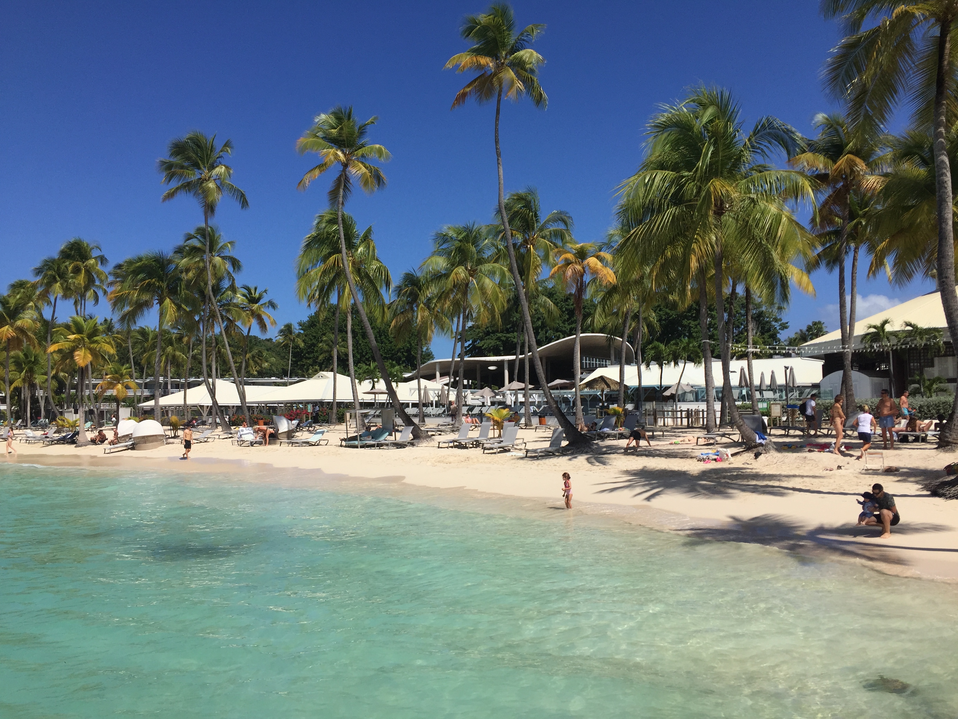 照片 瓜德罗普(Guadeloupe) 卡拉维尔海滩(La Caravelle Beach) 2021-02 40