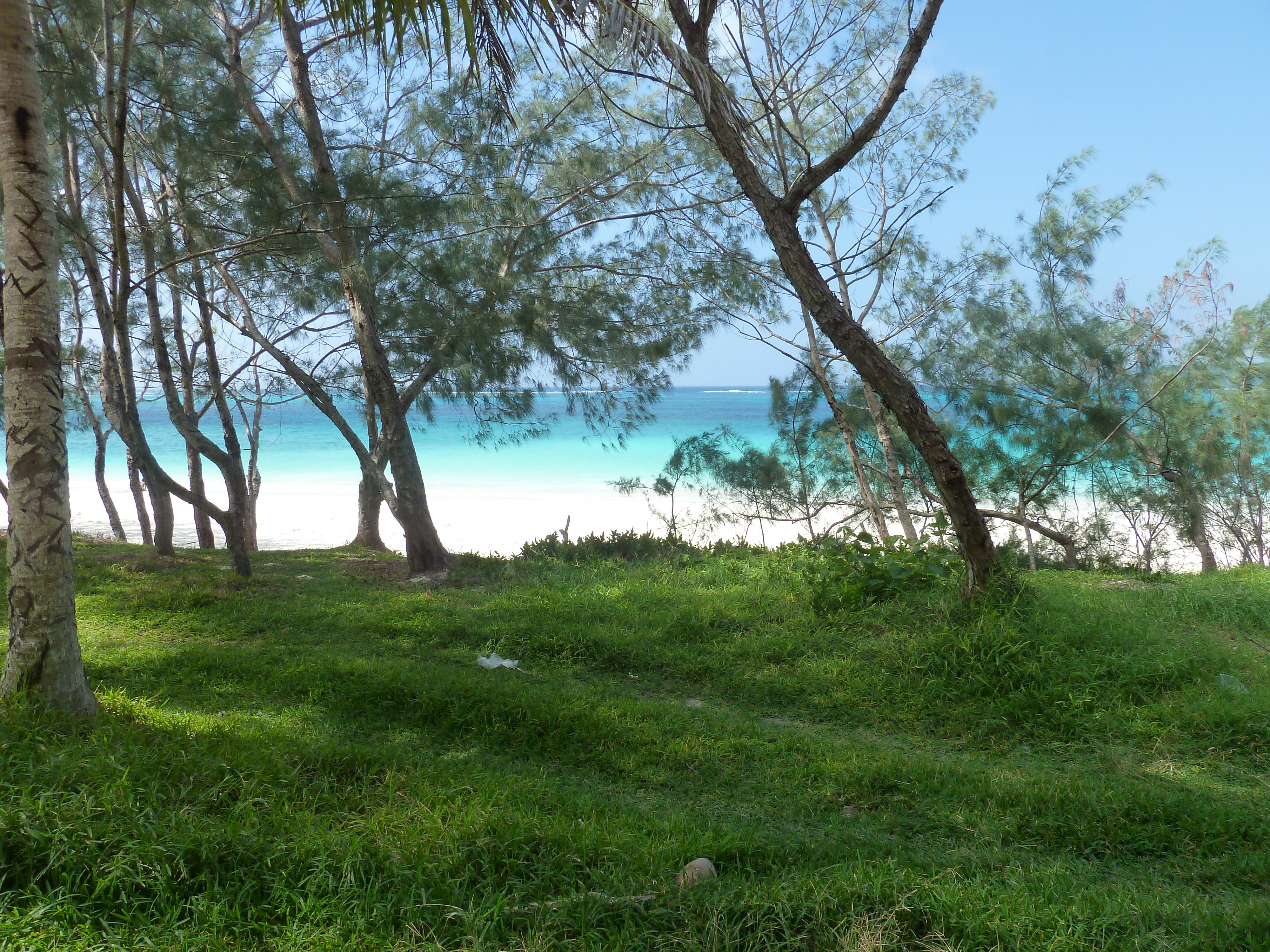 照片 新喀里多尼亚(New Caledonia) 利富岛(Lifou) 夏多布里昂湾(Chateaubriand Bay) 2010-05 86