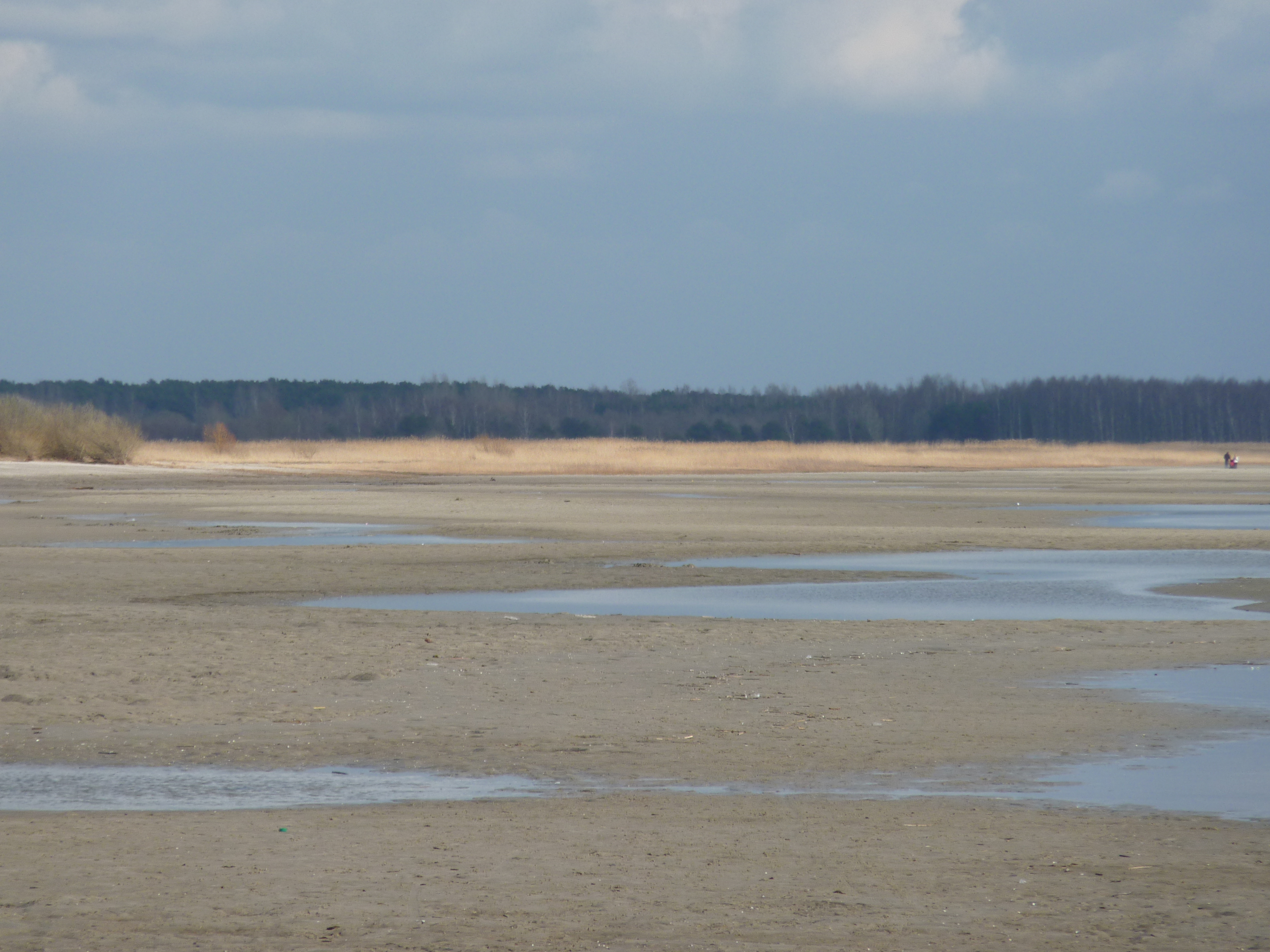 照片 爱沙尼亚(Estonia) 派尔努(Parnu) 2009-04 52