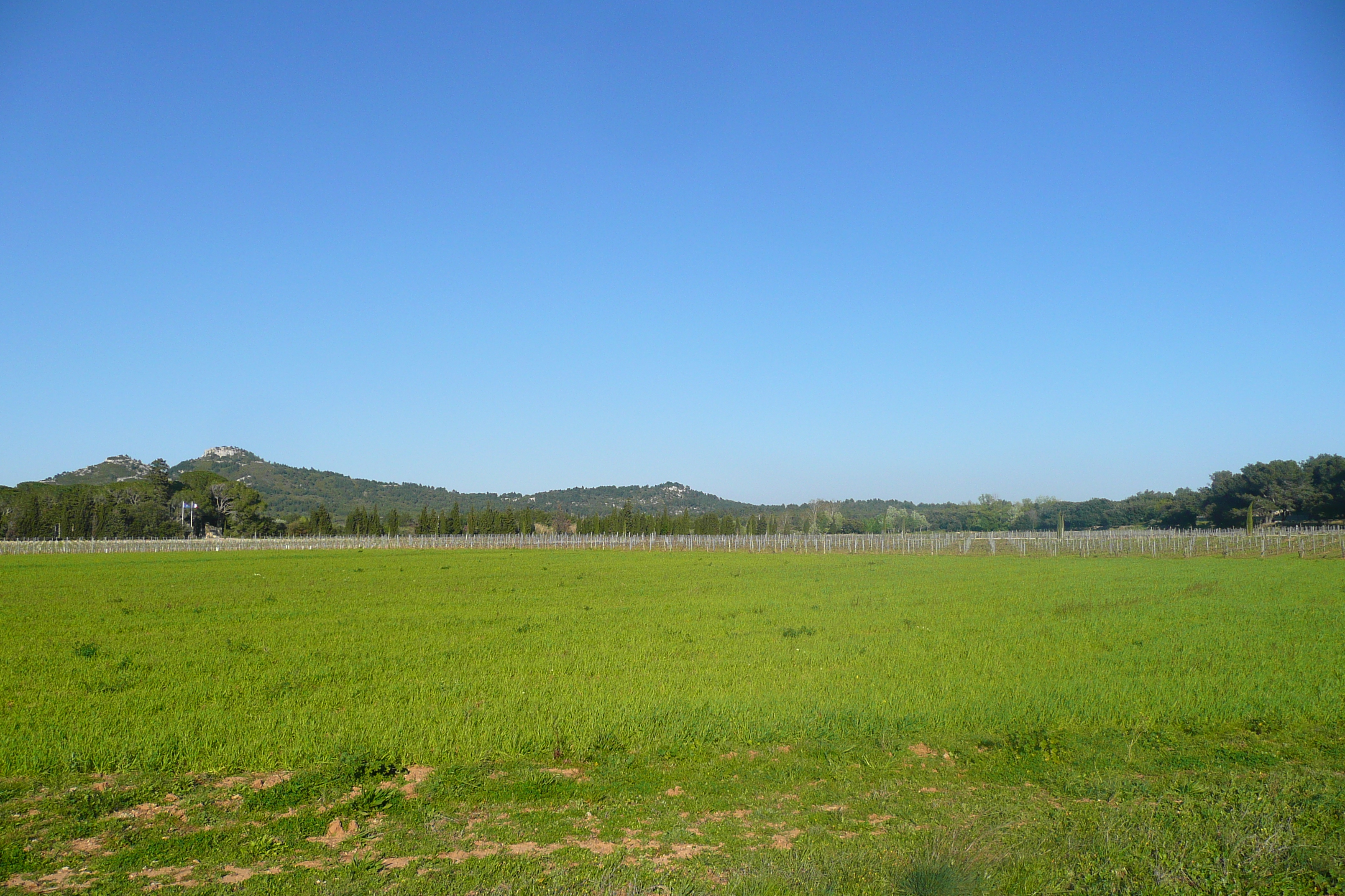 照片 法国(France) 普罗旺斯(Provence) 莱博至塔拉斯孔公路(Baux de Provence to Tarascon road) 2008-04 9