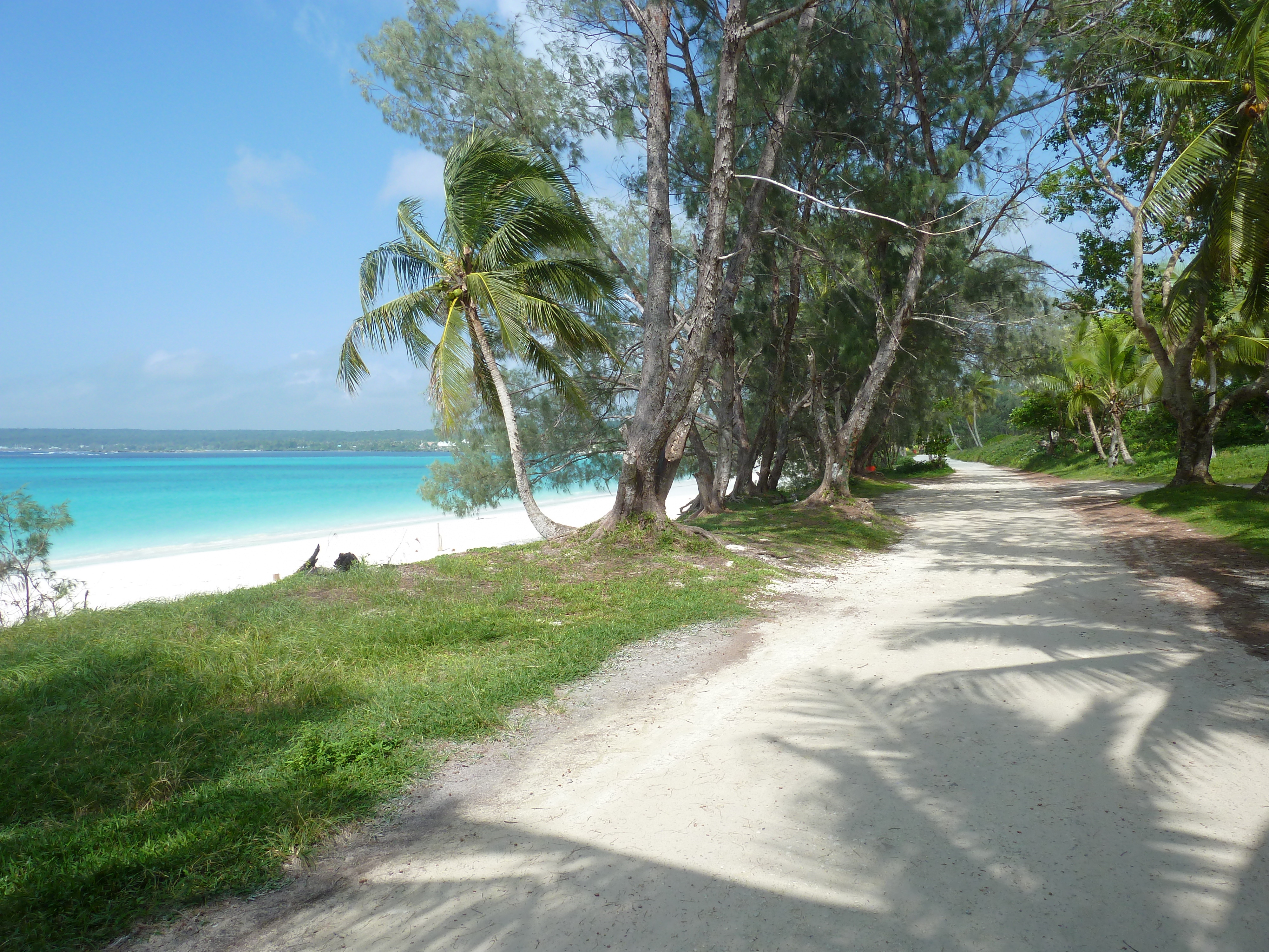 照片 新喀里多尼亚(New Caledonia) 利富岛(Lifou) 夏多布里昂湾(Chateaubriand Bay) 2010-05 81