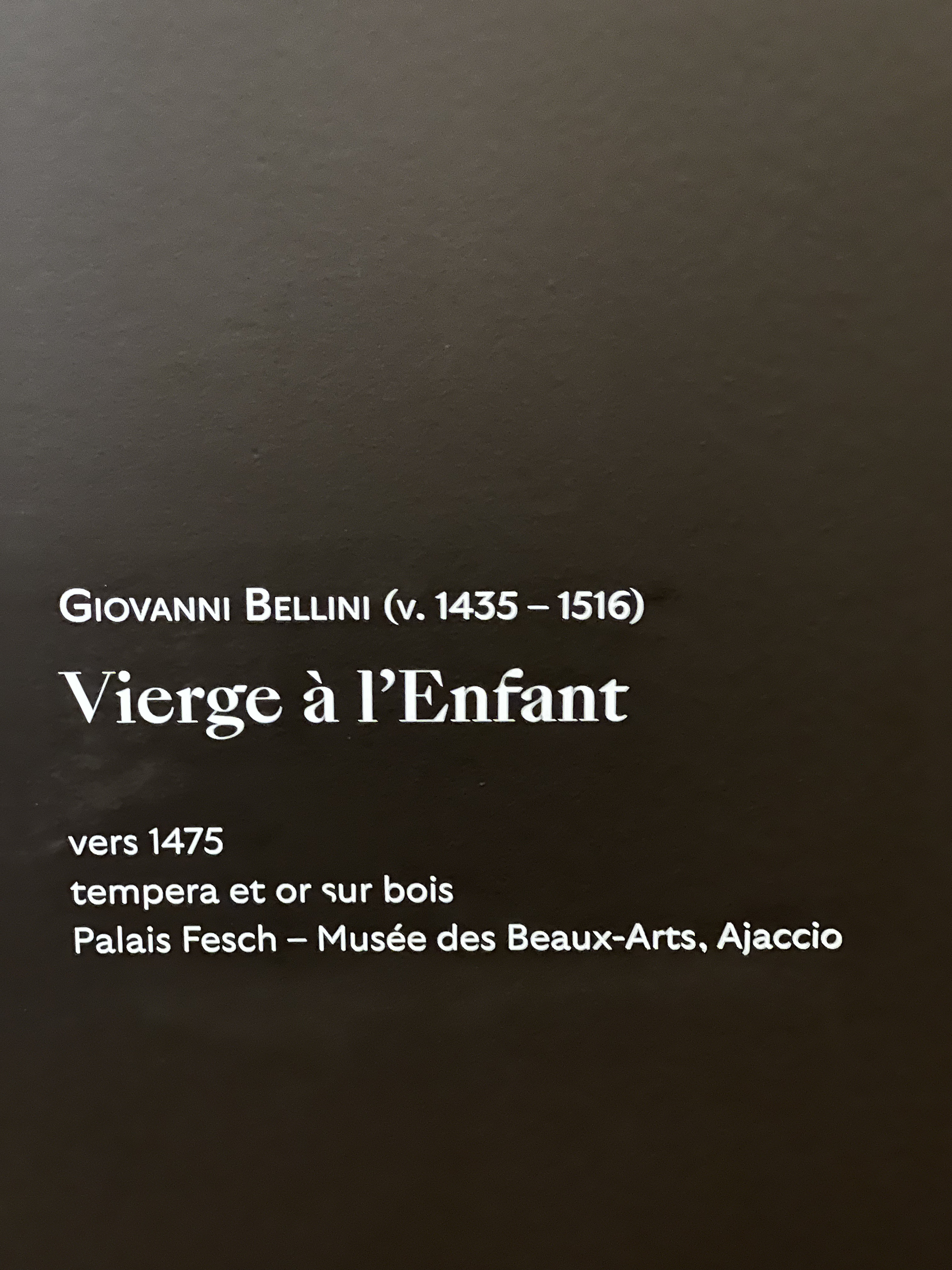 照片 法国(France) 巴黎(Paris) 雅克马尔-安德烈博物馆(Jacquemart Andre Museum) 2023-04 135