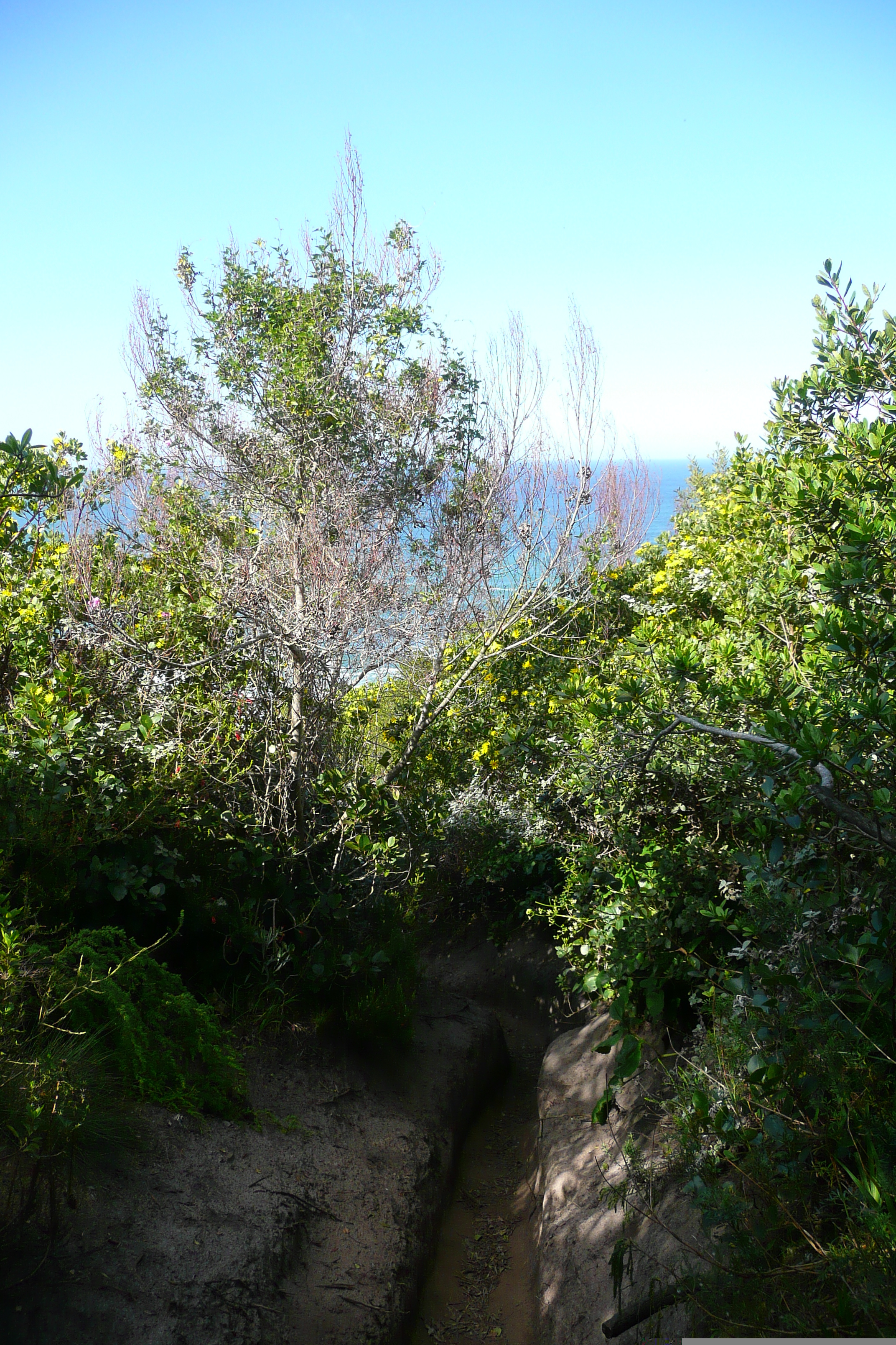 照片 南非(South Africa) 克尼斯纳岬角(Knysna Heads) 2008-09 27