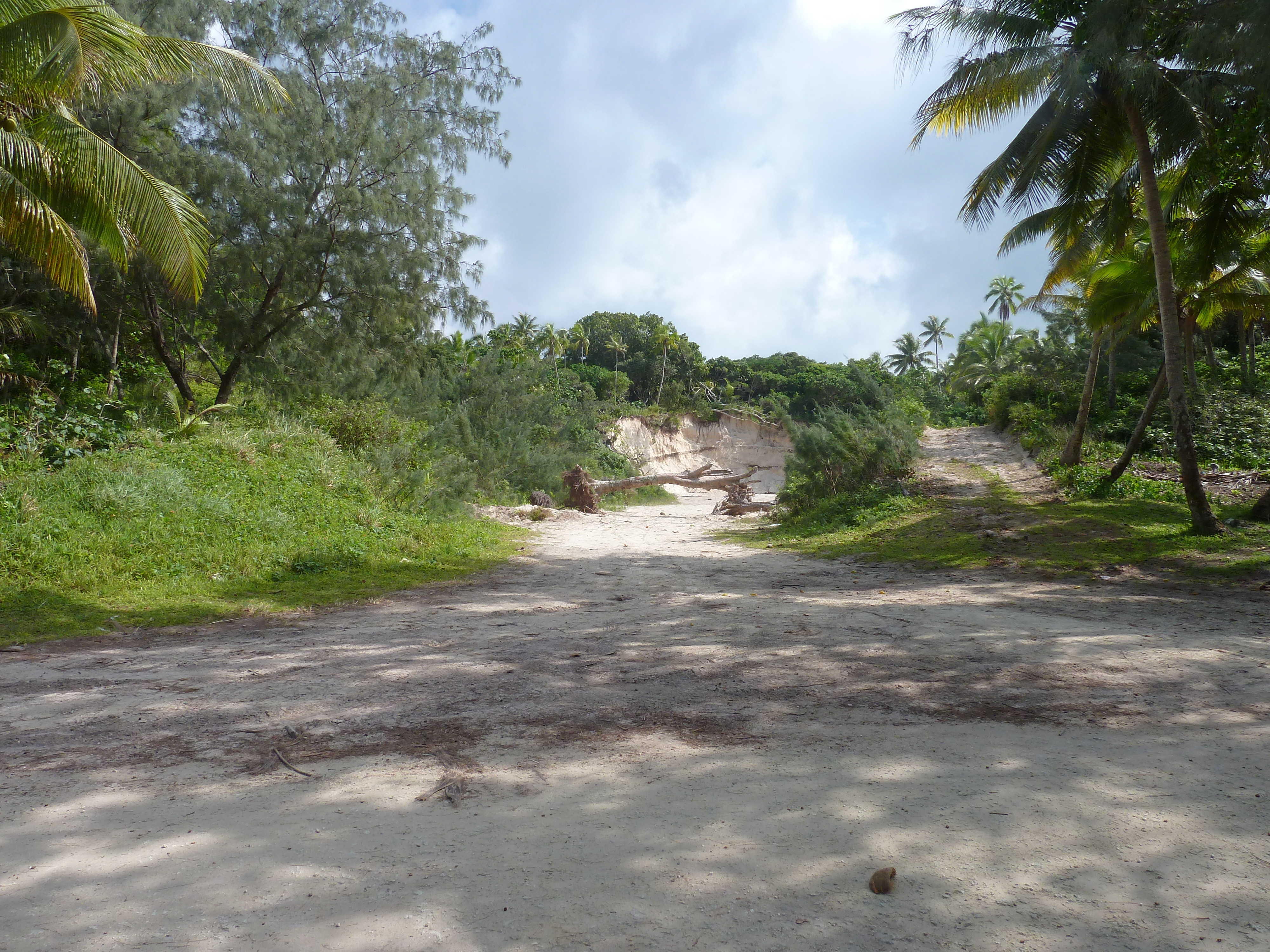 照片 新喀里多尼亚(New Caledonia) 利富岛(Lifou) 夏多布里昂湾(Chateaubriand Bay) 2010-05 94