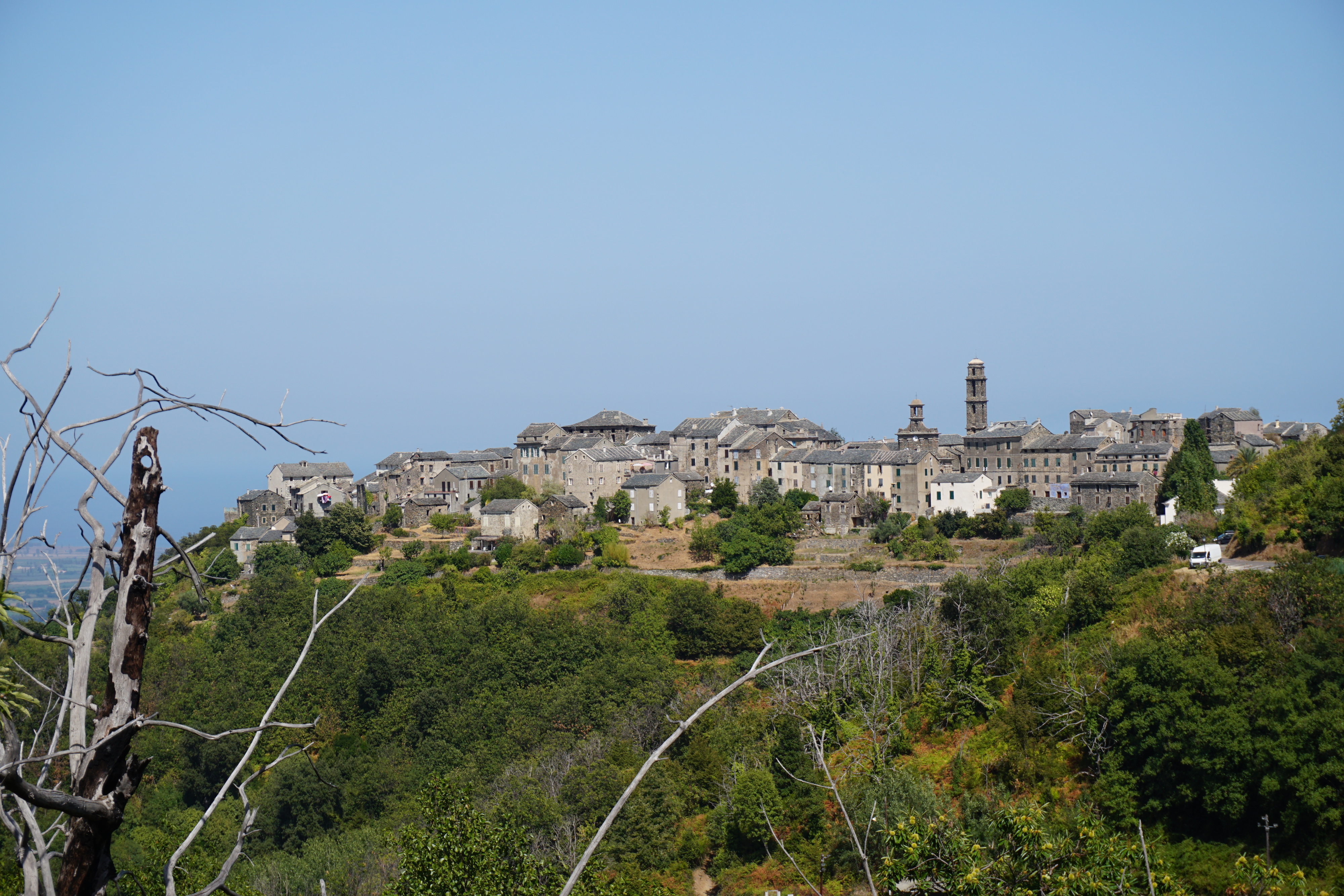 照片 法国(France) 科西嘉岛(Corsica) 彭塔-迪卡辛卡(Penta-di-Casinca) 2017-09 27