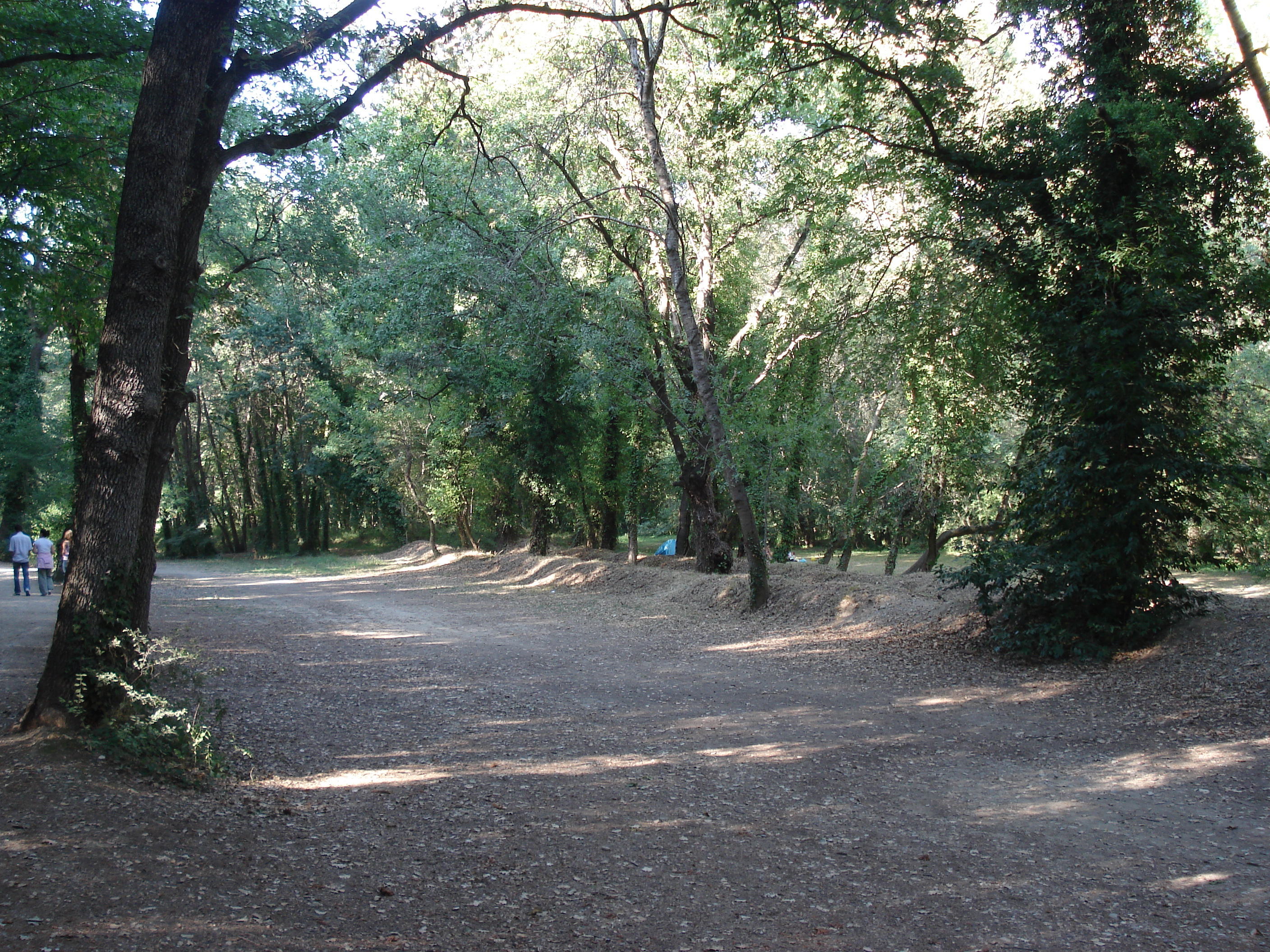 照片 法国(France) 维尔讷夫卢贝(Villeneuve Loubet) 沃格勒尼耶公园(Parc de Vaugrenier) 2006-09 15