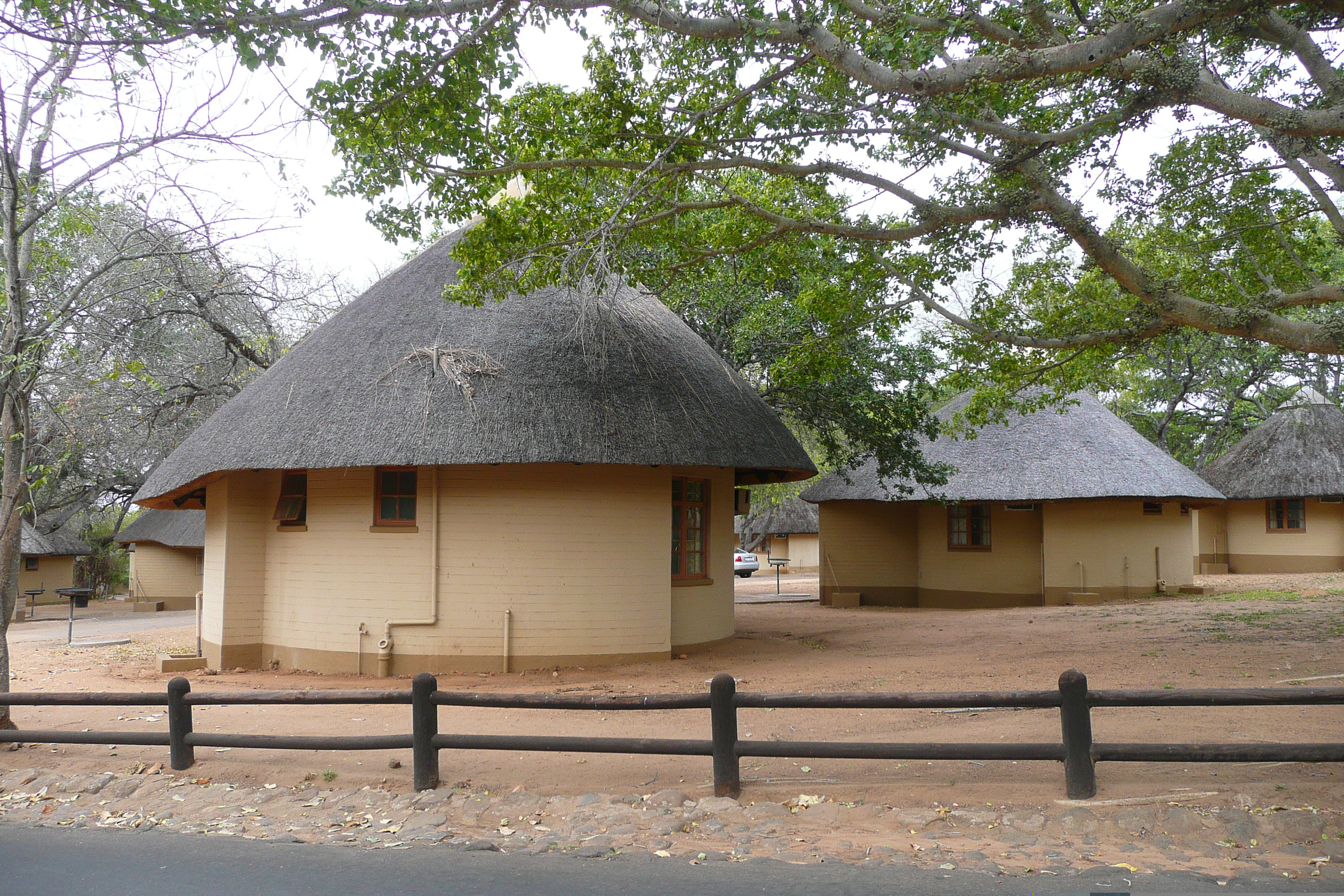 照片 南非(South Africa) 克鲁格国家公园(Kruger National Park) 2008-09 22