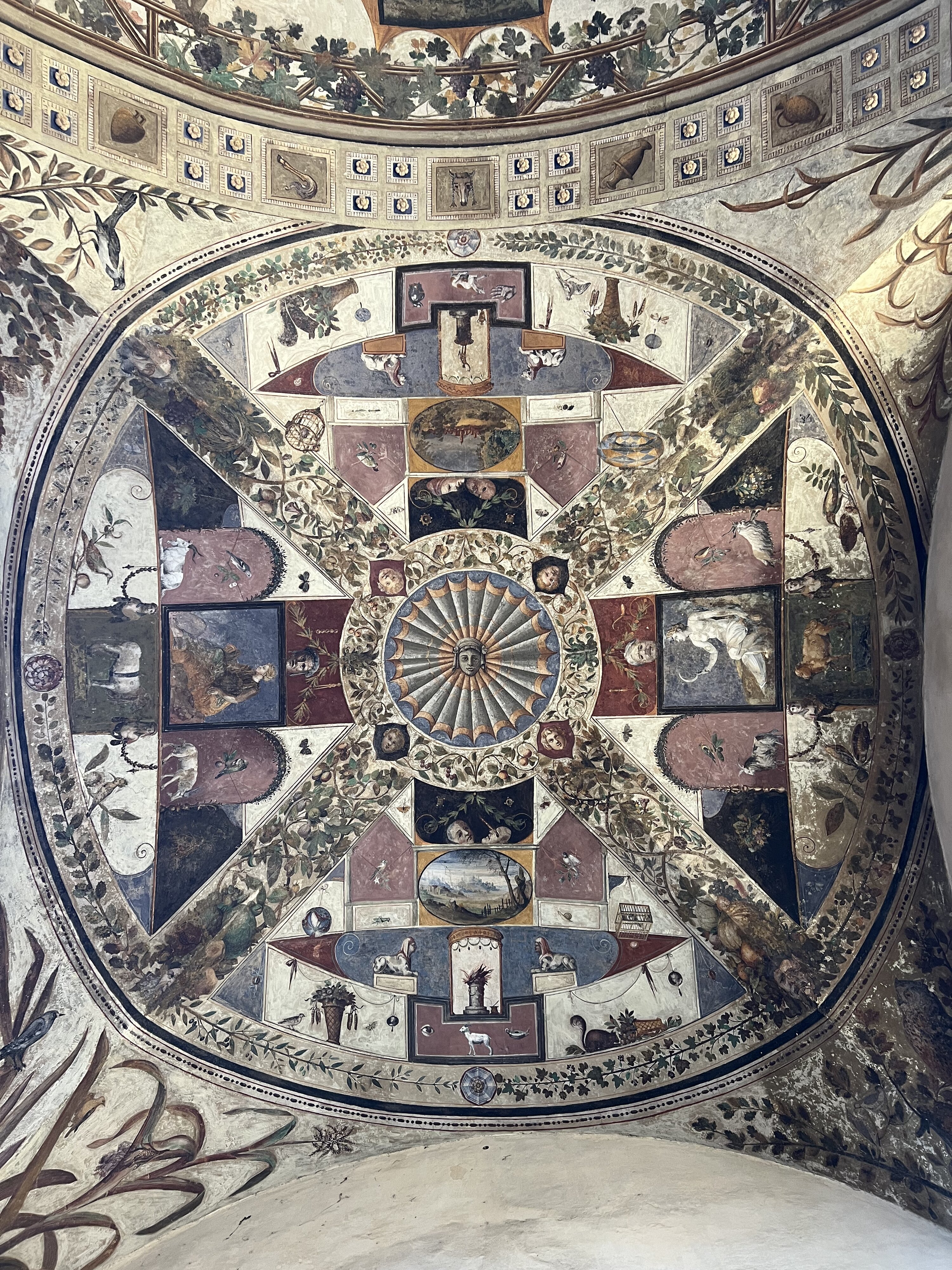 照片 意大利(Italy) 锡耶纳(Siena) 2021-09 81