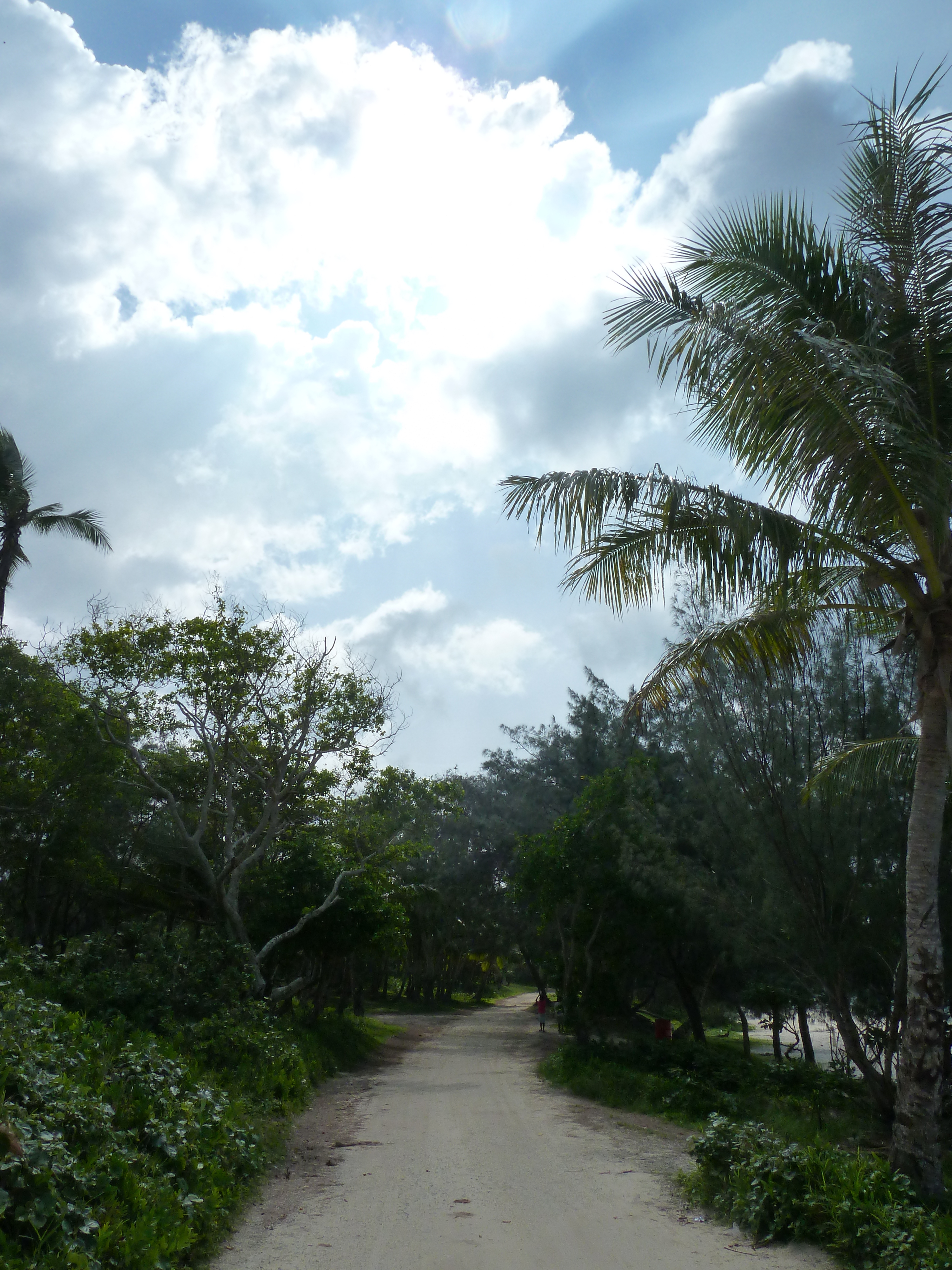 照片 新喀里多尼亚(New Caledonia) 利富岛(Lifou) 夏多布里昂湾(Chateaubriand Bay) 2010-05 4