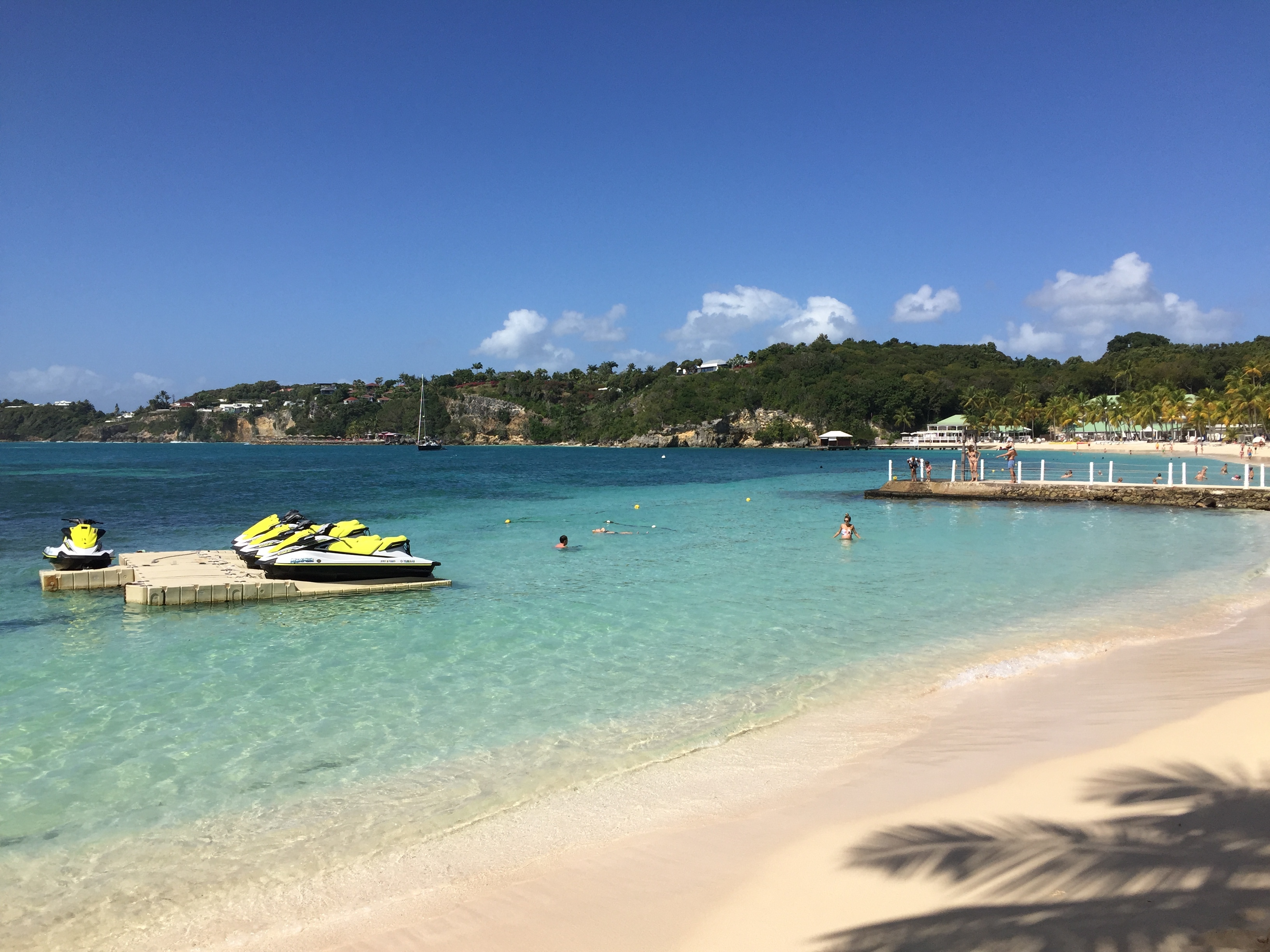照片 瓜德罗普(Guadeloupe) 卡拉维尔海滩(La Caravelle Beach) 2021-02 57