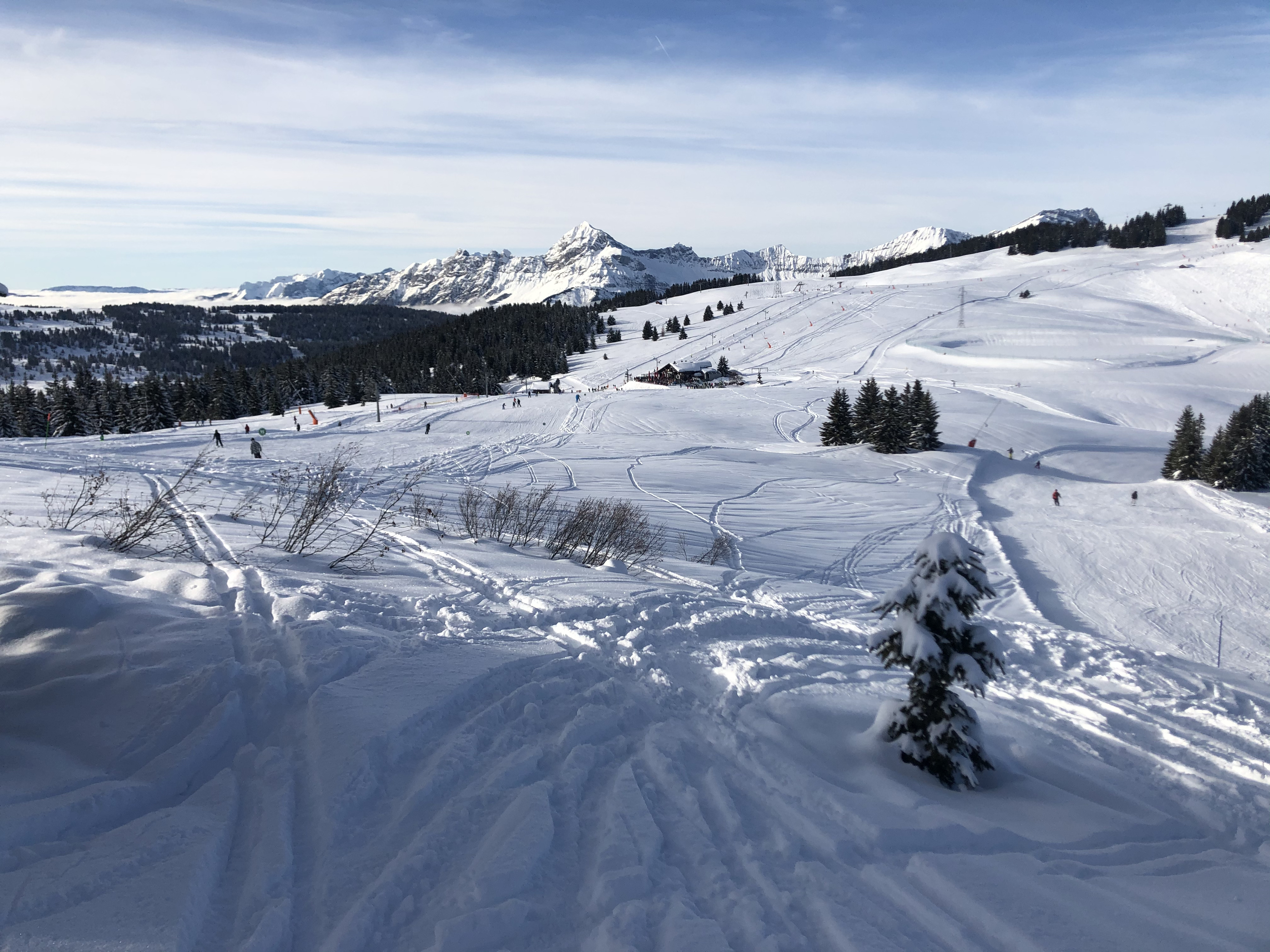 照片 法国(France) 阿尔利河畔普拉(Praz sur Arly) 2019-12 338