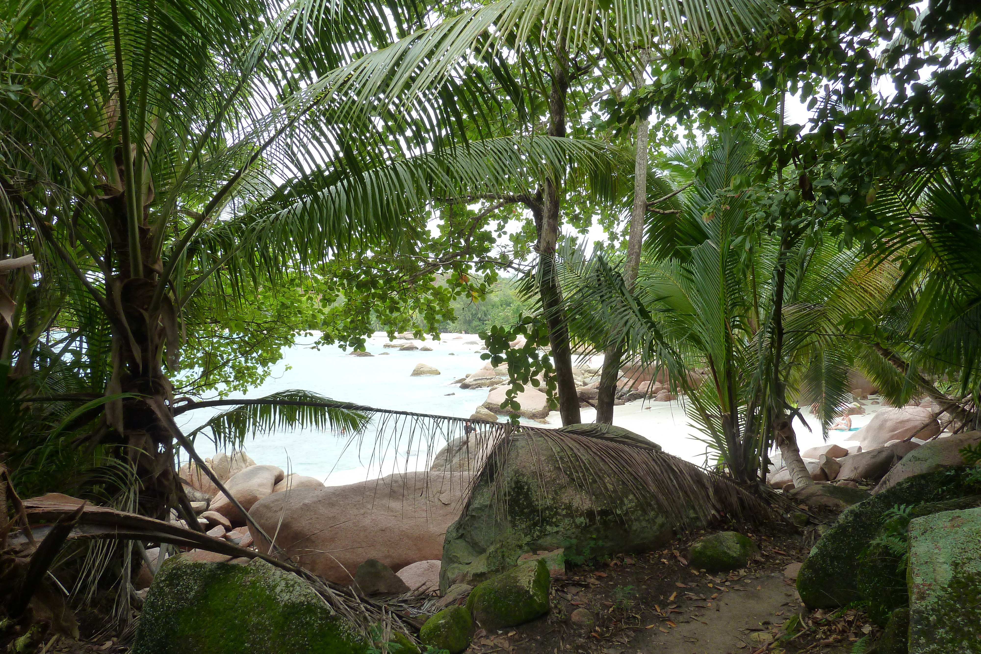 照片 塞舌尔(Seychelles) 拉齐奥湾(Anse Lazio) 2011-10 112