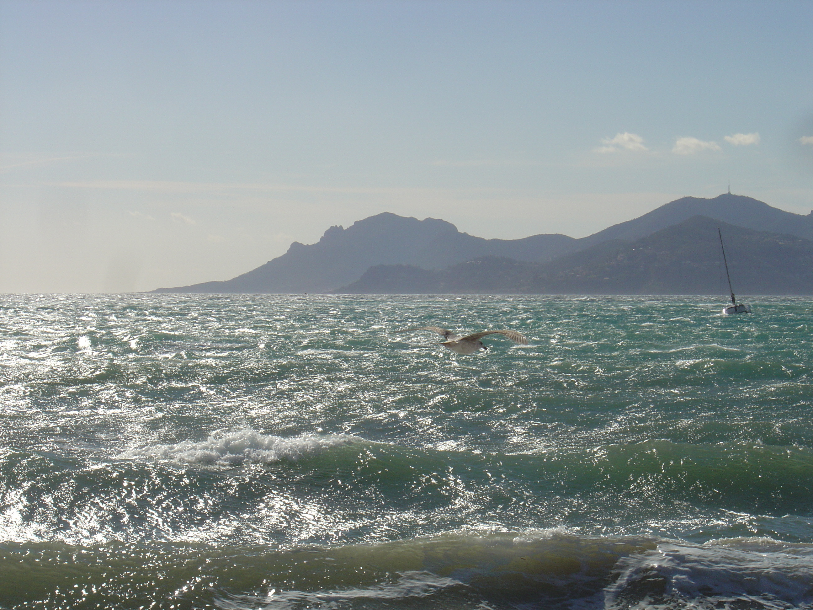 照片 法国(France) 戛纳(Cannes) 2005-02 4