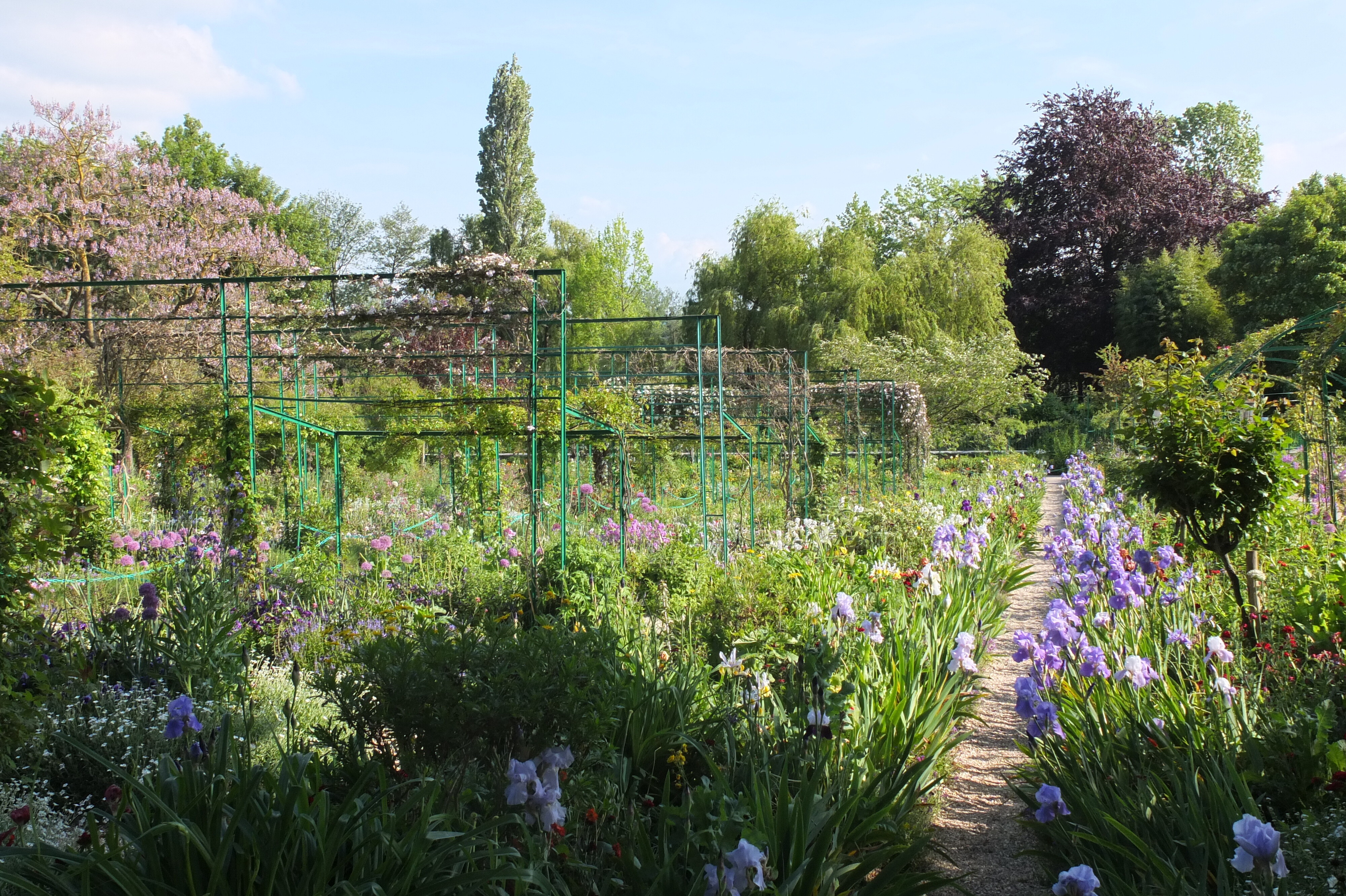 照片 法国(France) 吉维尼(Giverny) 2013-06 12