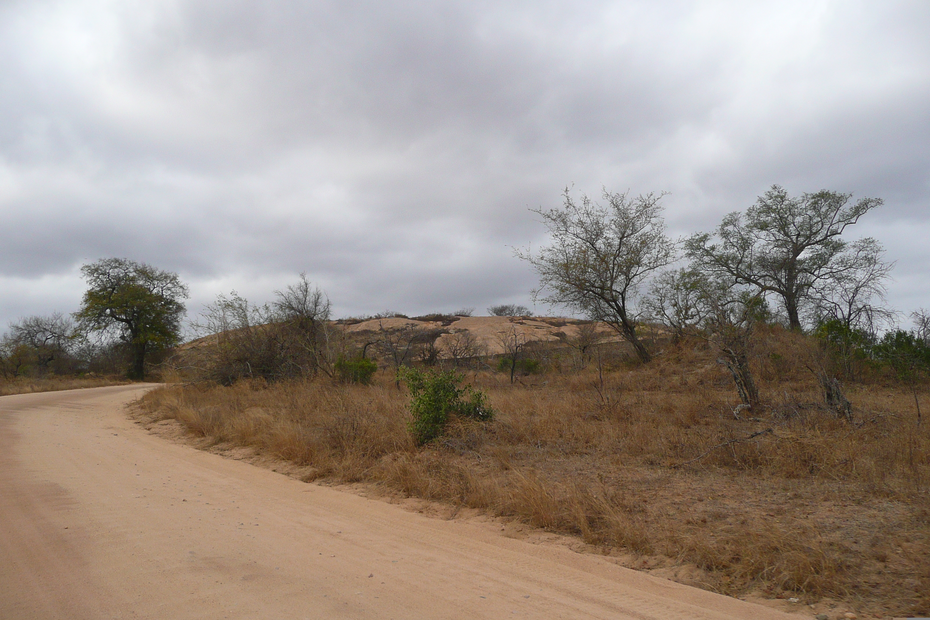 照片 南非(South Africa) 克鲁格国家公园(Kruger National Park) 2008-09 175