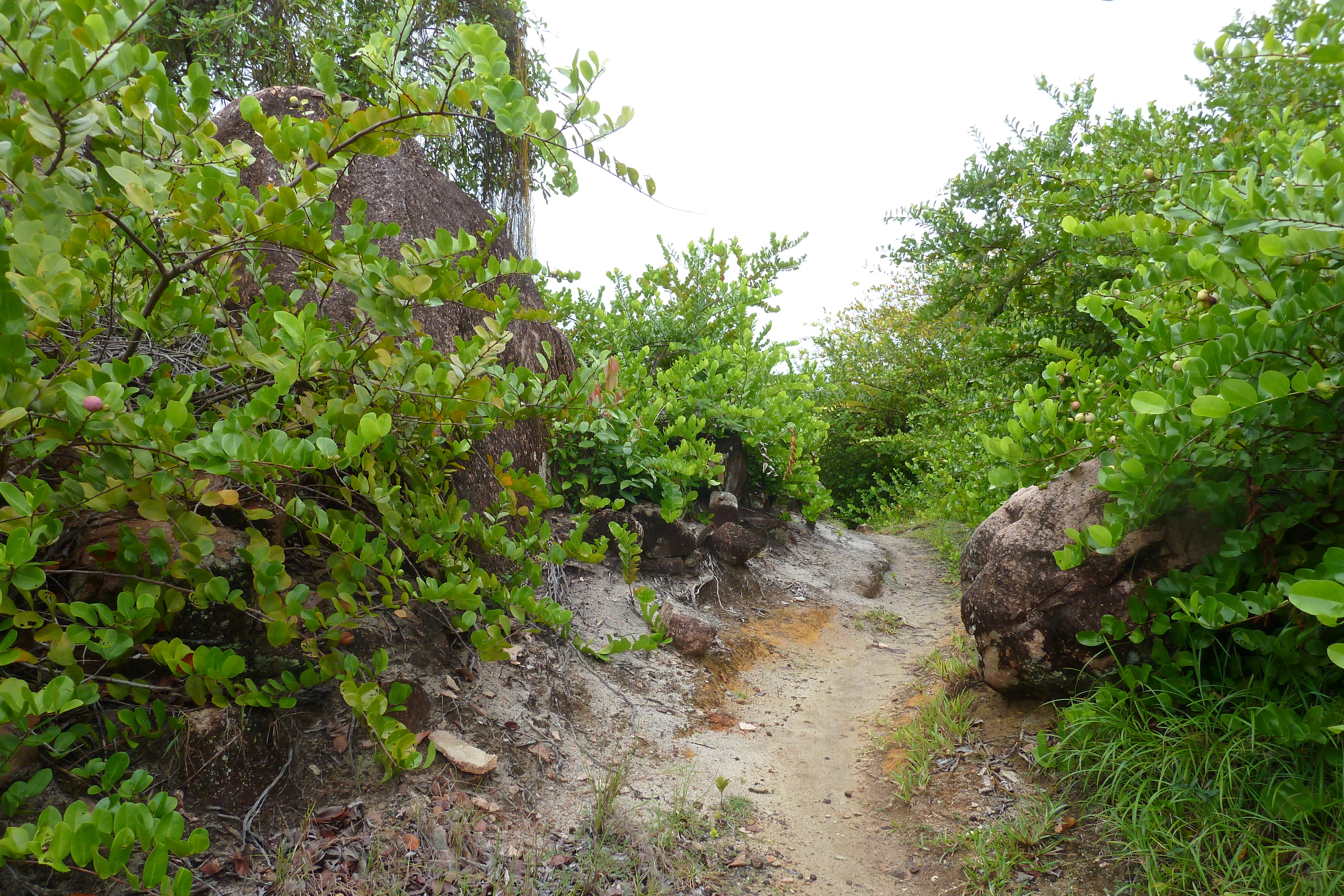 照片 塞舌尔(Seychelles) 拉齐奥湾(Anse Lazio) 2011-10 33