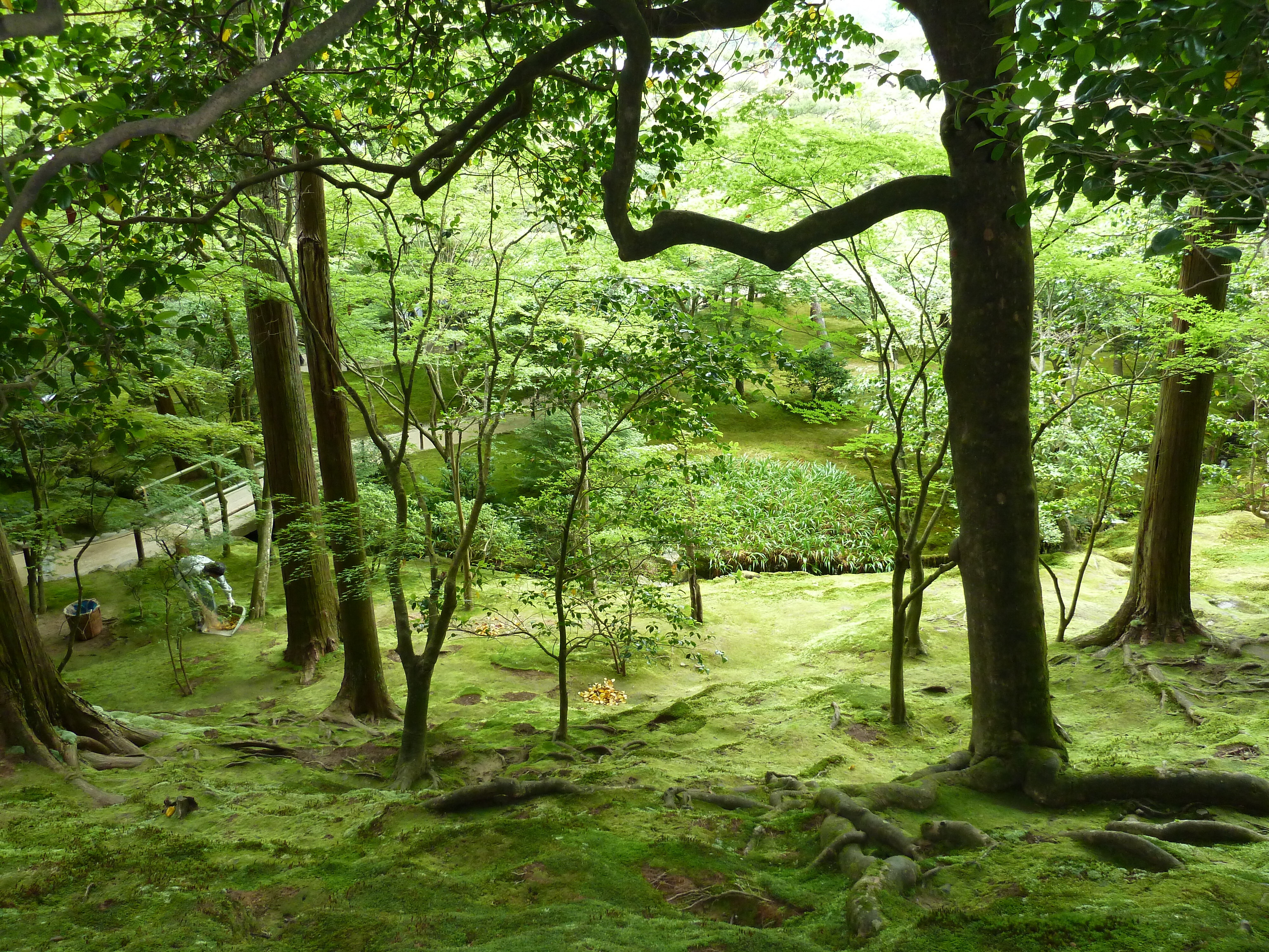 照片 日本(Japan) 京都(Kyoto) 银阁寺(Ginkakuji Temple(Silver Pavilion)) 2010-06 82