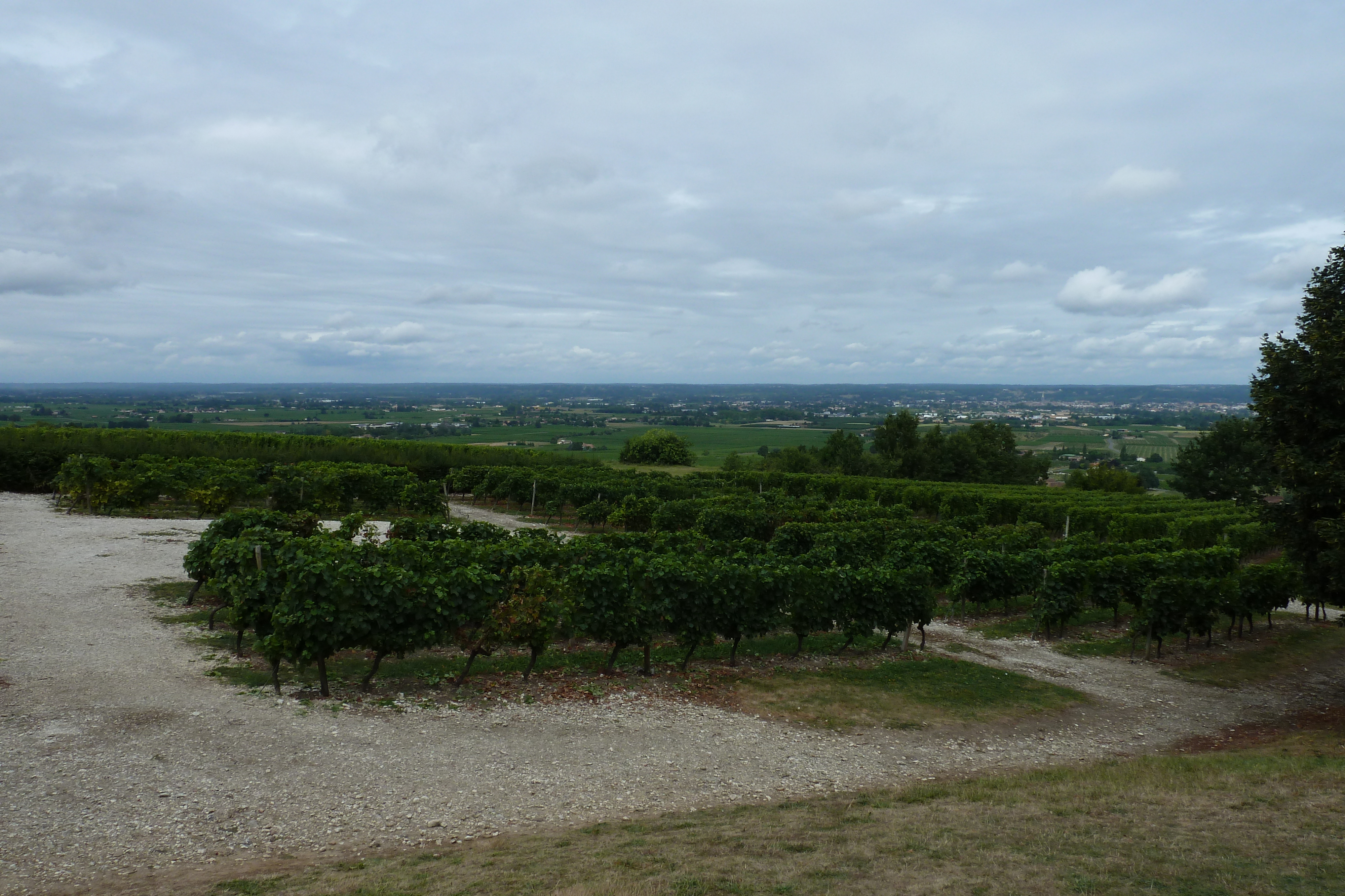 照片 法国(France) 蒙巴兹亚克(Monbazillac) 2010-08 113