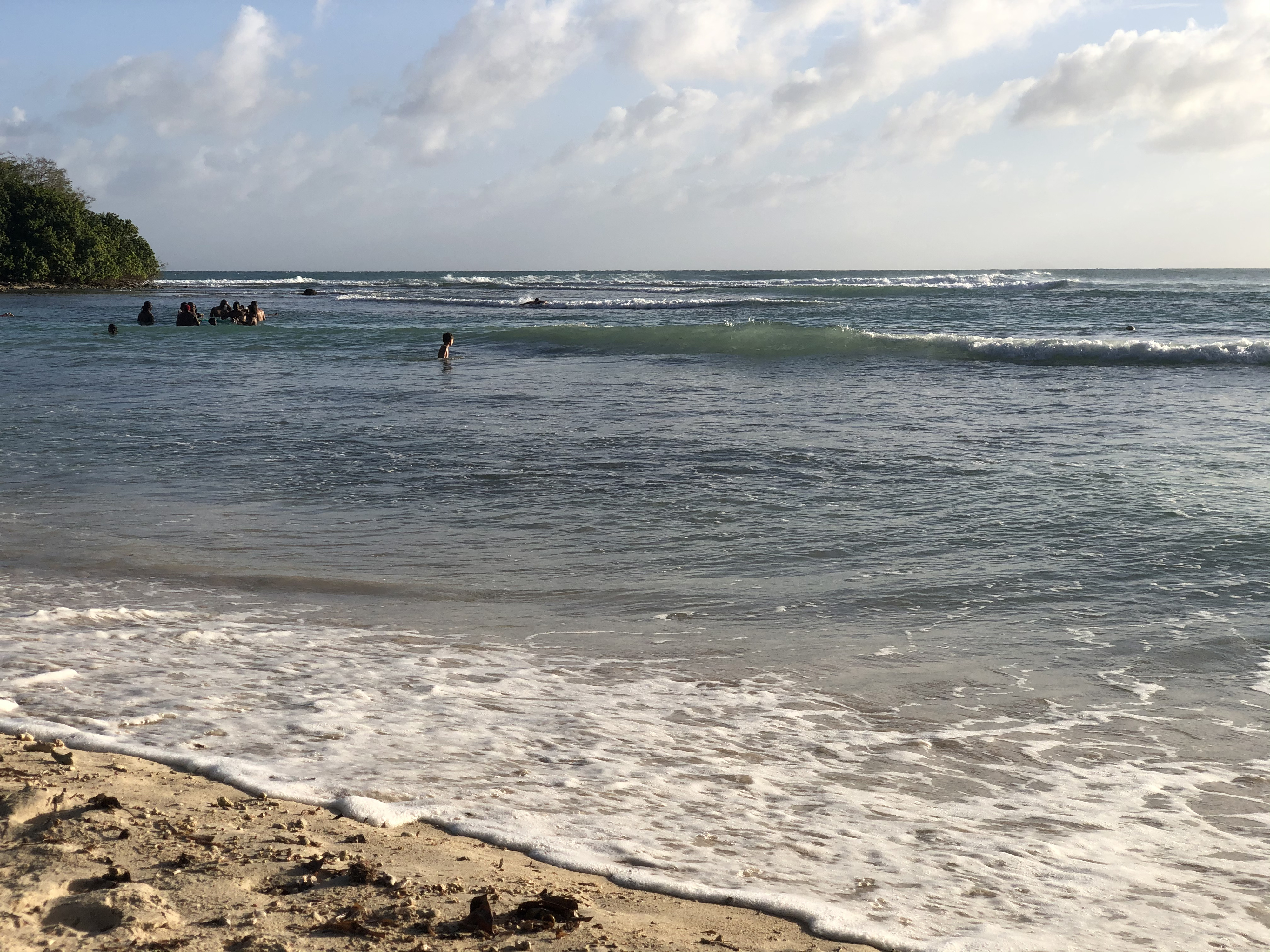 照片 瓜德罗普(Guadeloupe) 小阿弗尔海滩(Petit Havre Beach) 2021-02 8