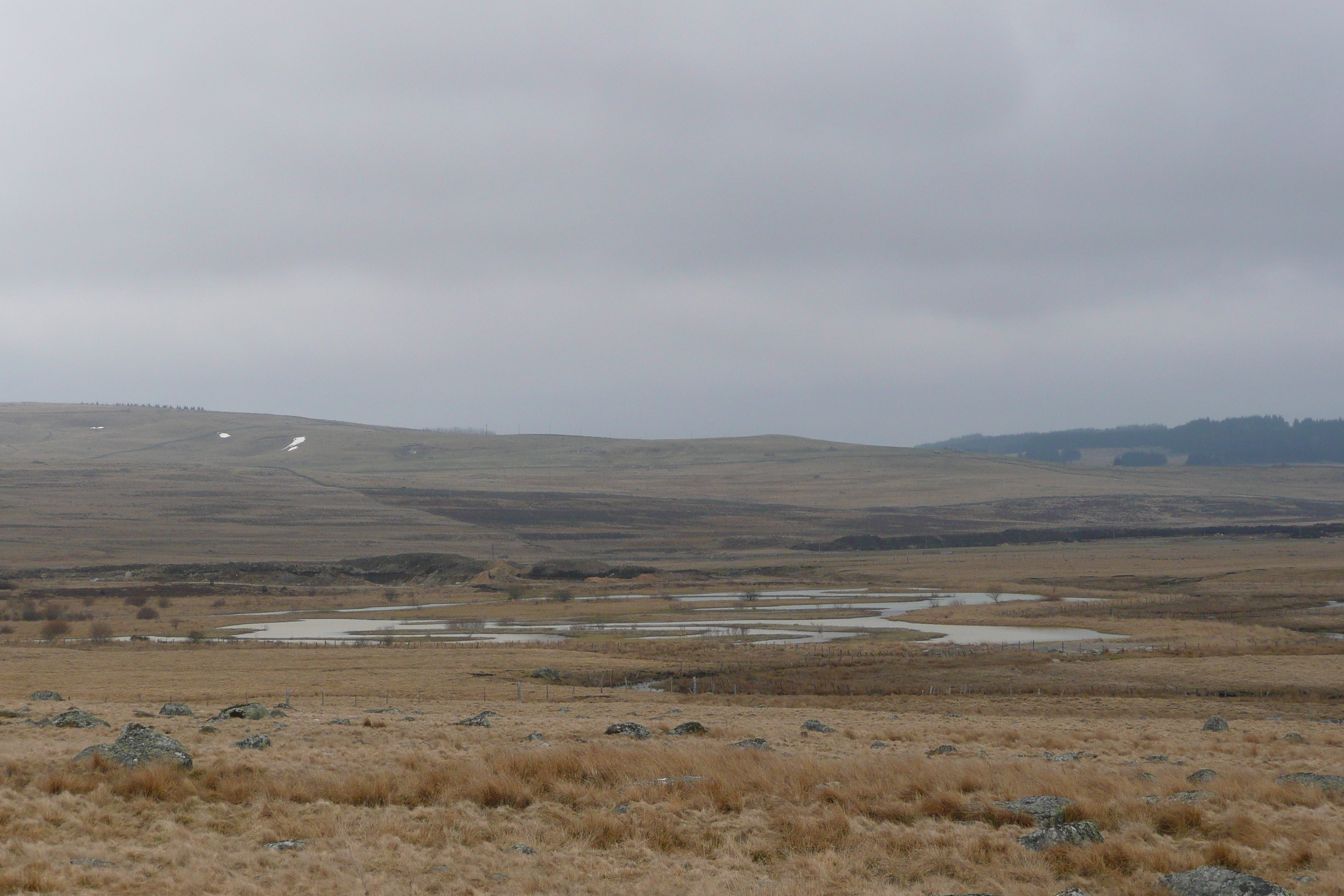 照片 法国(France) 奥布拉克(L'Aubrac) 2008-04 46