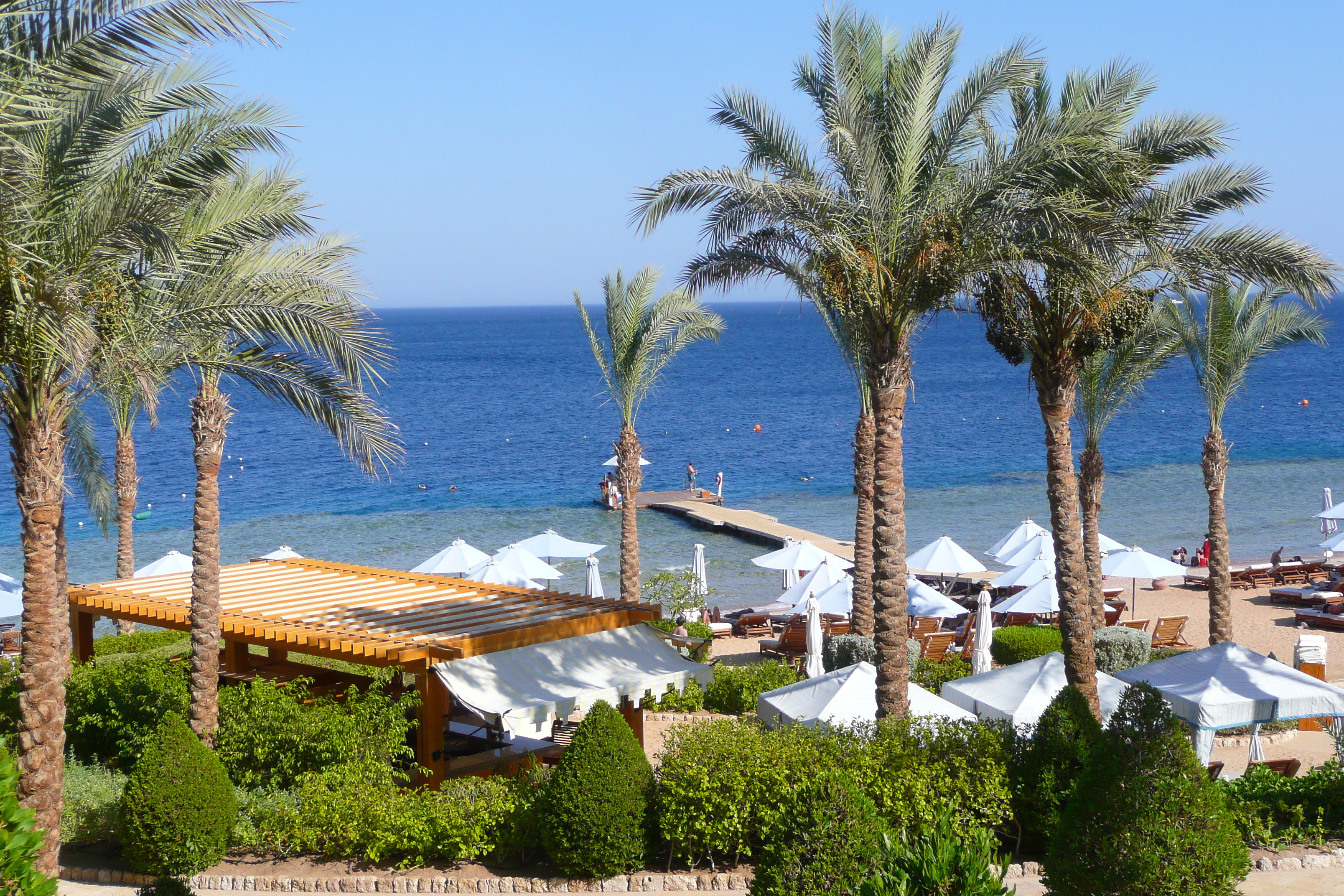 照片 埃及(Egypt) 沙姆沙伊赫(Sharm el Sheikh) 四季酒店(Four Seasons Hotel) 四季酒店海滩(Four Seasons Beach) 2008-06 2