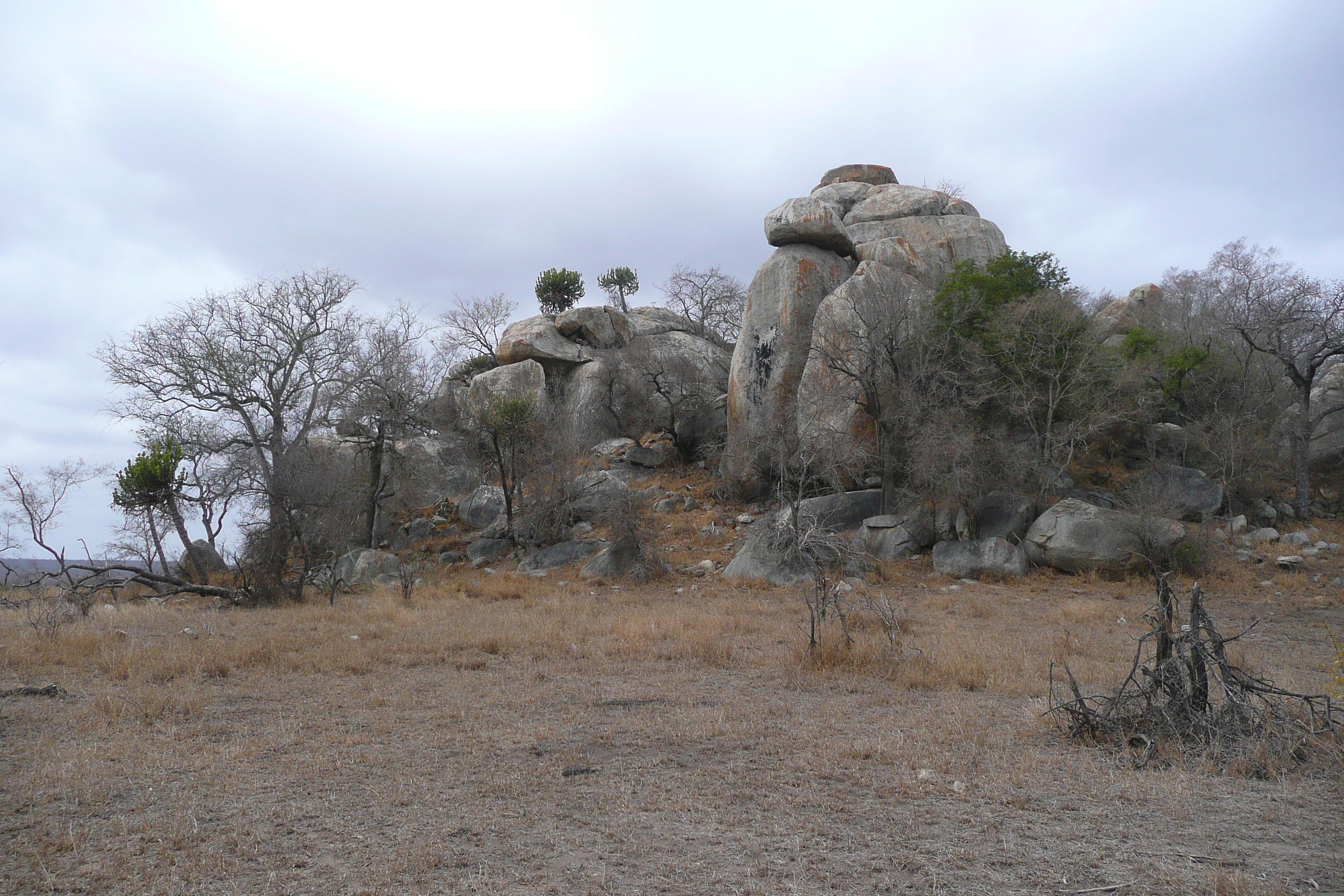 照片 南非(South Africa) 克鲁格国家公园(Kruger National Park) 2008-09 20