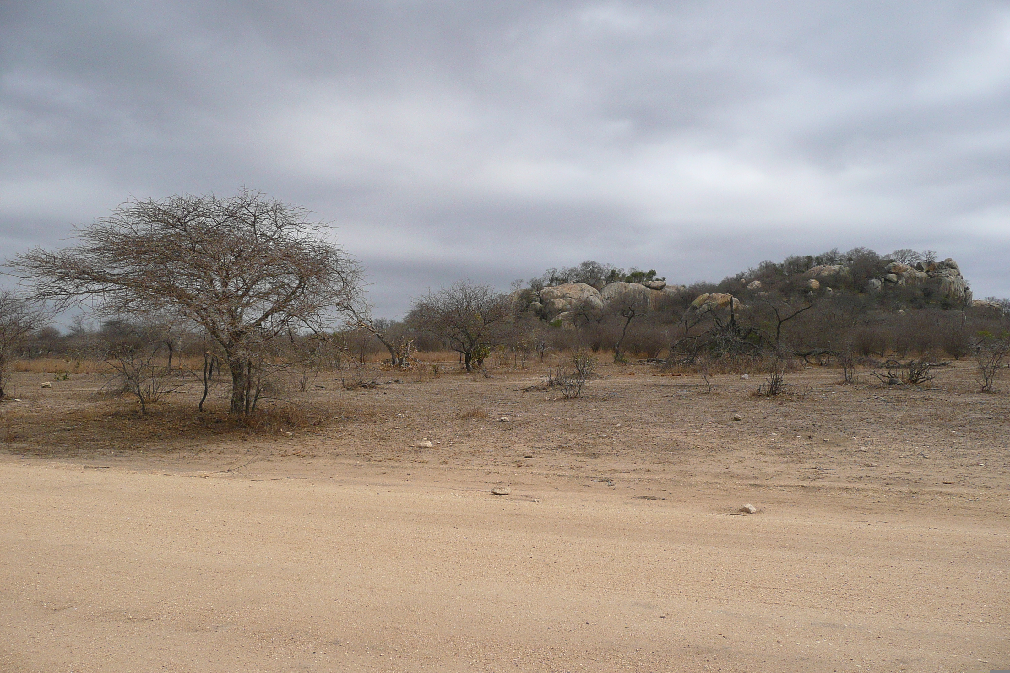 照片 南非(South Africa) 克鲁格国家公园(Kruger National Park) 2008-09 1
