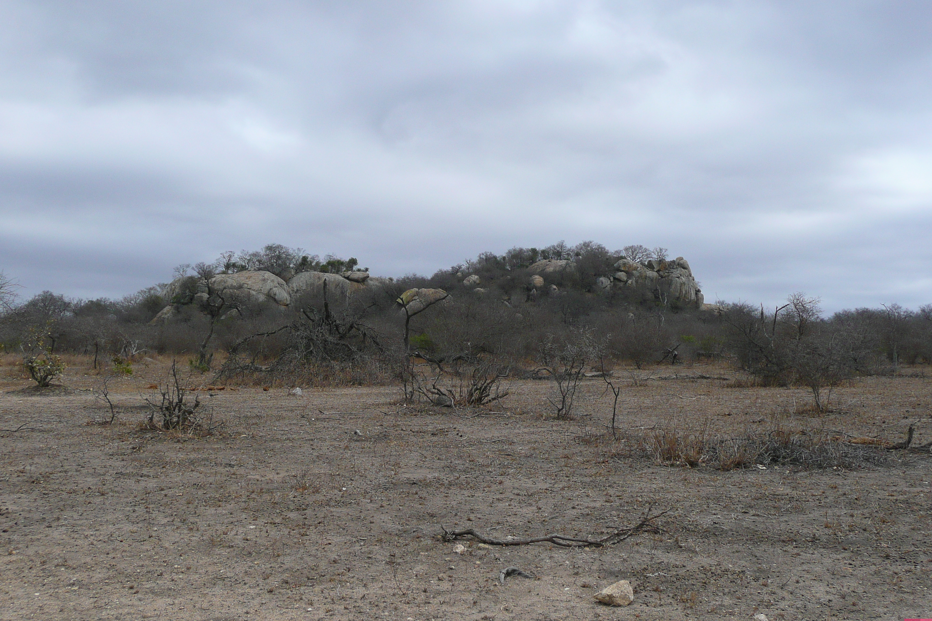 照片 南非(South Africa) 克鲁格国家公园(Kruger National Park) 2008-09 2