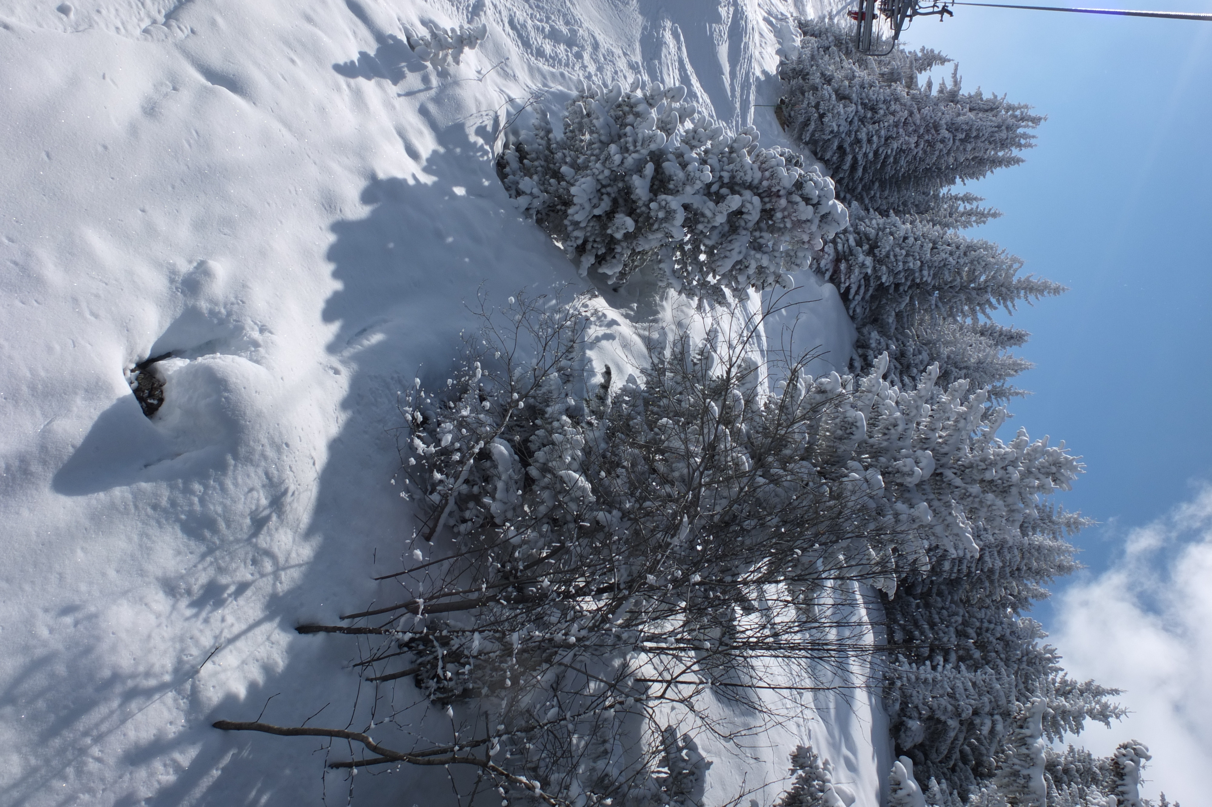 照片 法国(France) 三峡谷滑雪场(Les 3 Vallees) 2013-03 115