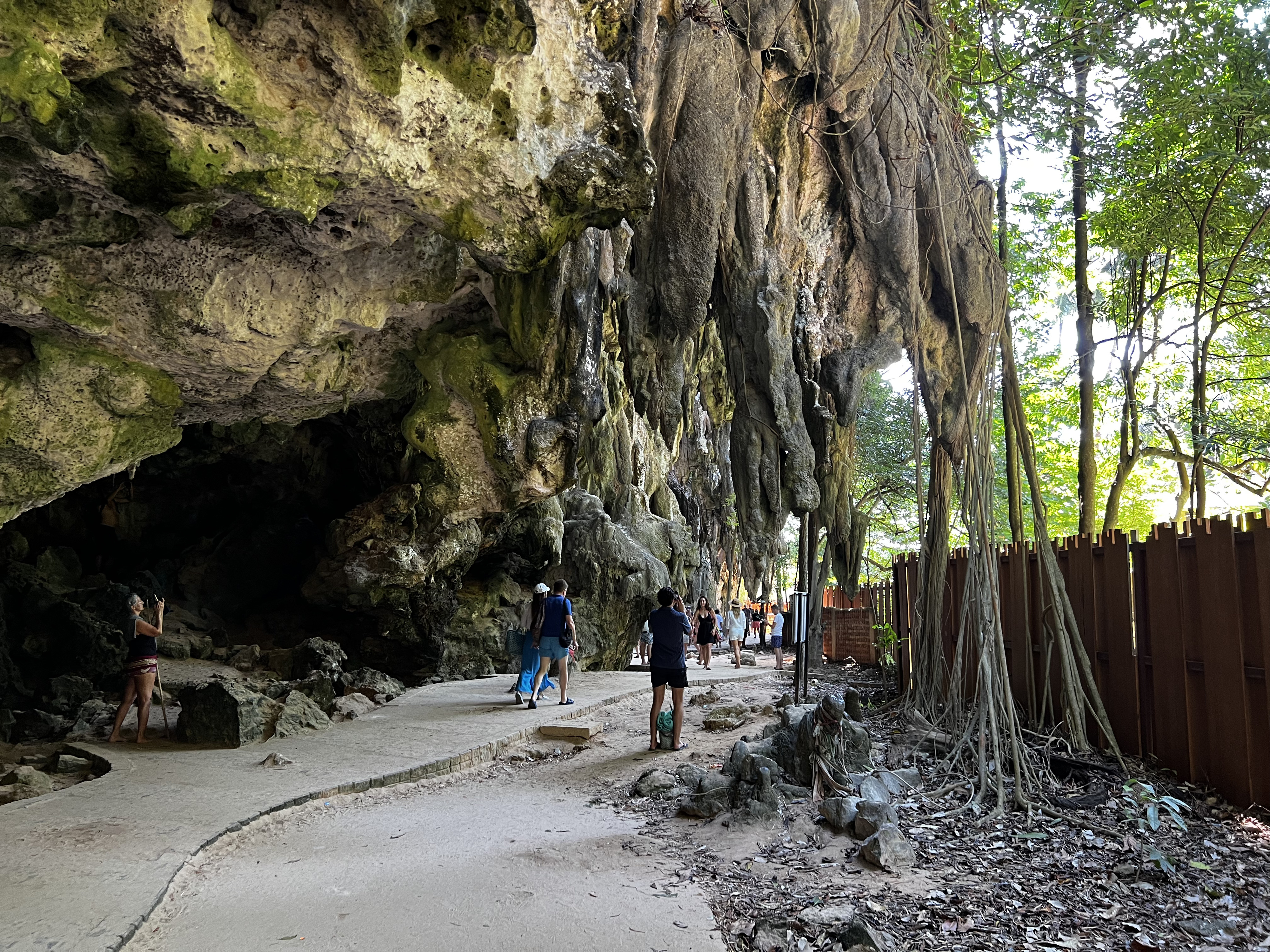 照片 泰国(Thailand) 甲米(Krabi) 2023-01 447
