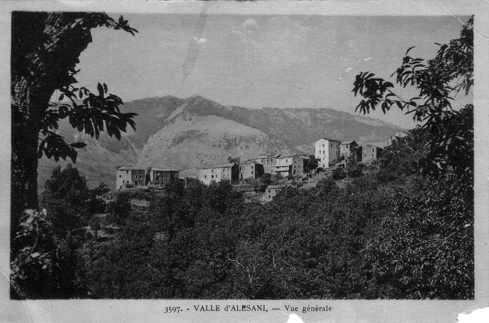照片 法国(France) 科西嘉岛(Corsica) 老明信片(Old Postcards) 1900-01 71