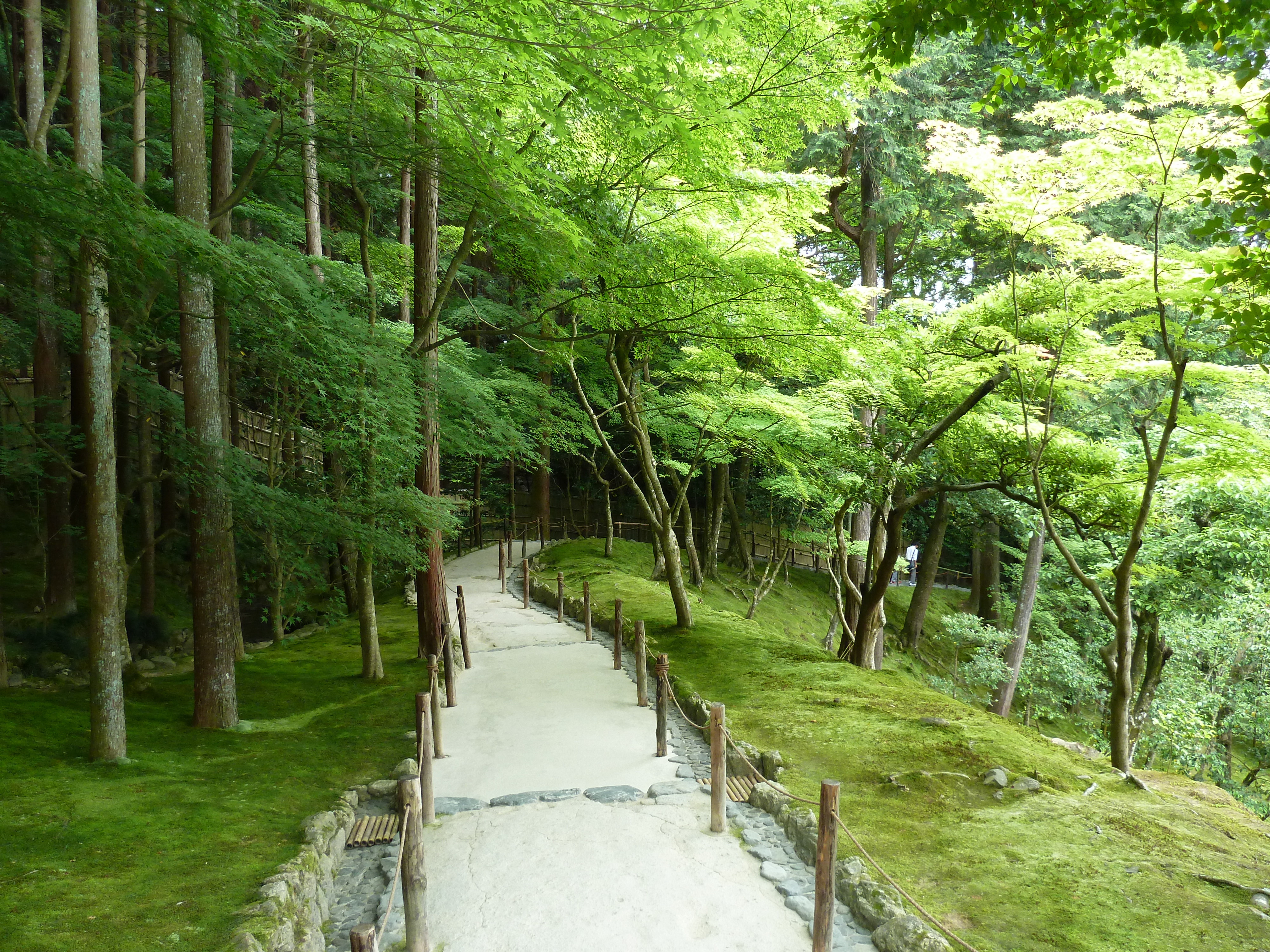 照片 日本(Japan) 京都(Kyoto) 银阁寺(Ginkakuji Temple(Silver Pavilion)) 2010-06 2
