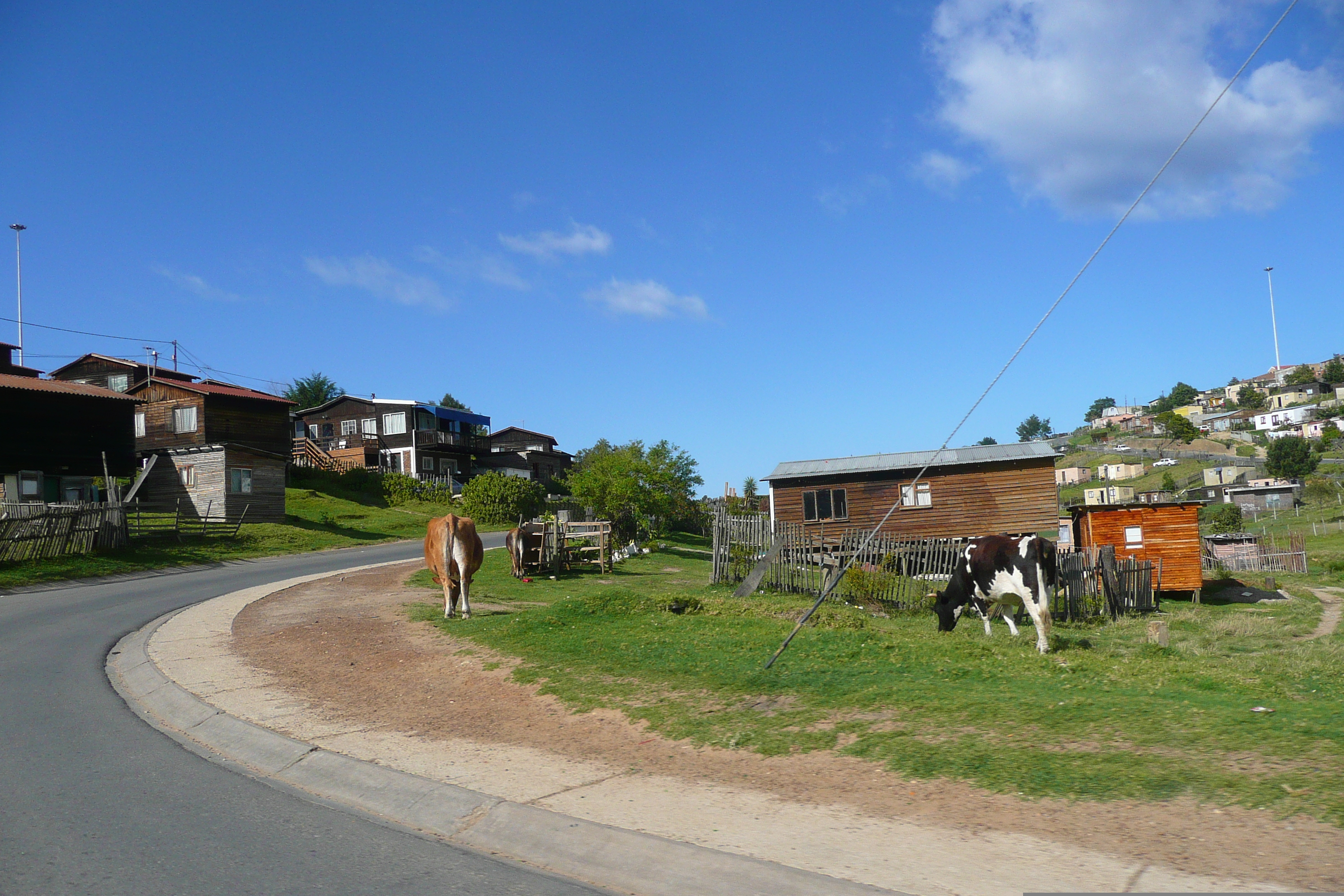 照片 南非(South Africa) 克尼斯纳(Knysna) 2008-09 28