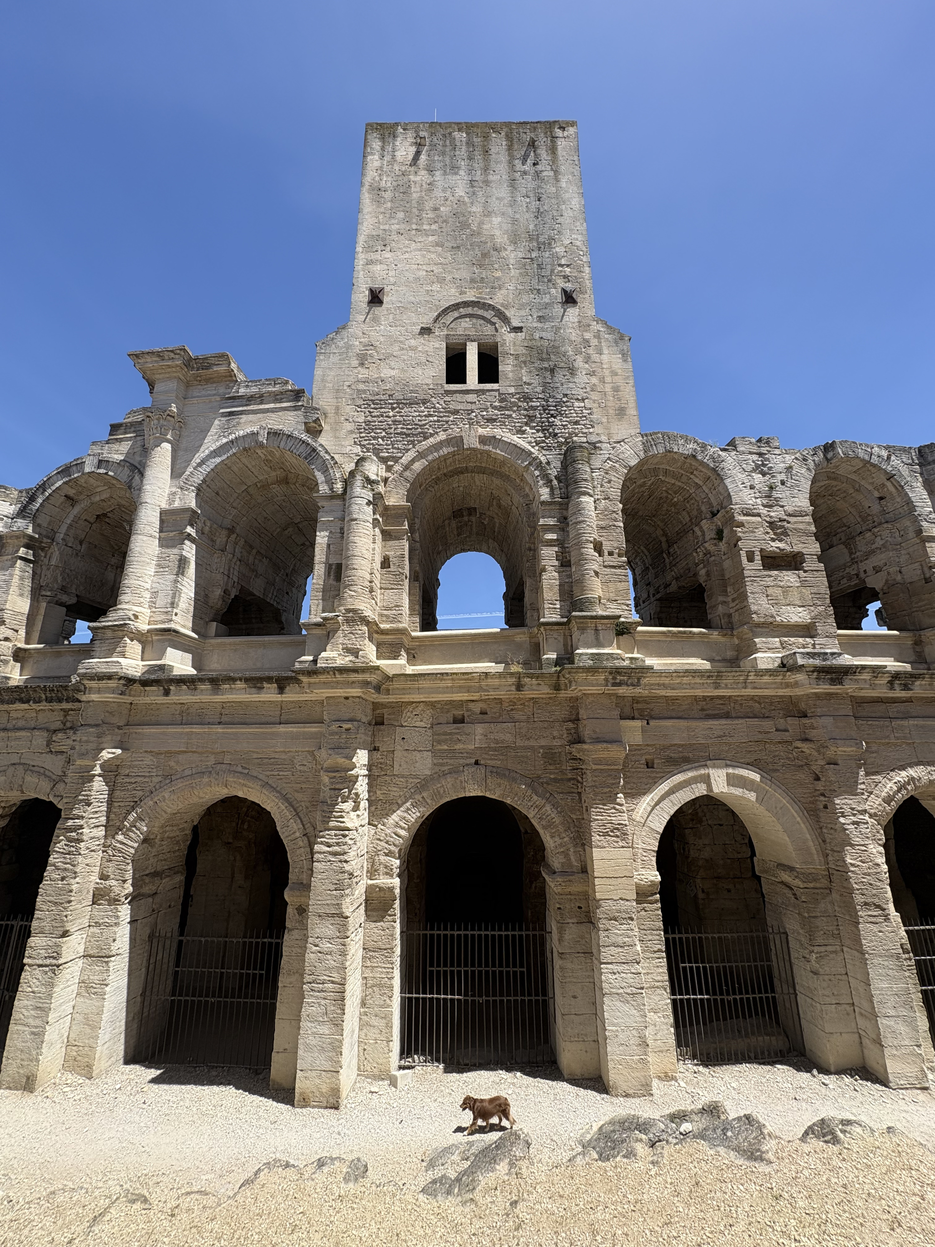 照片 法国(France) 阿尔勒(Arles) 2026-06 1
