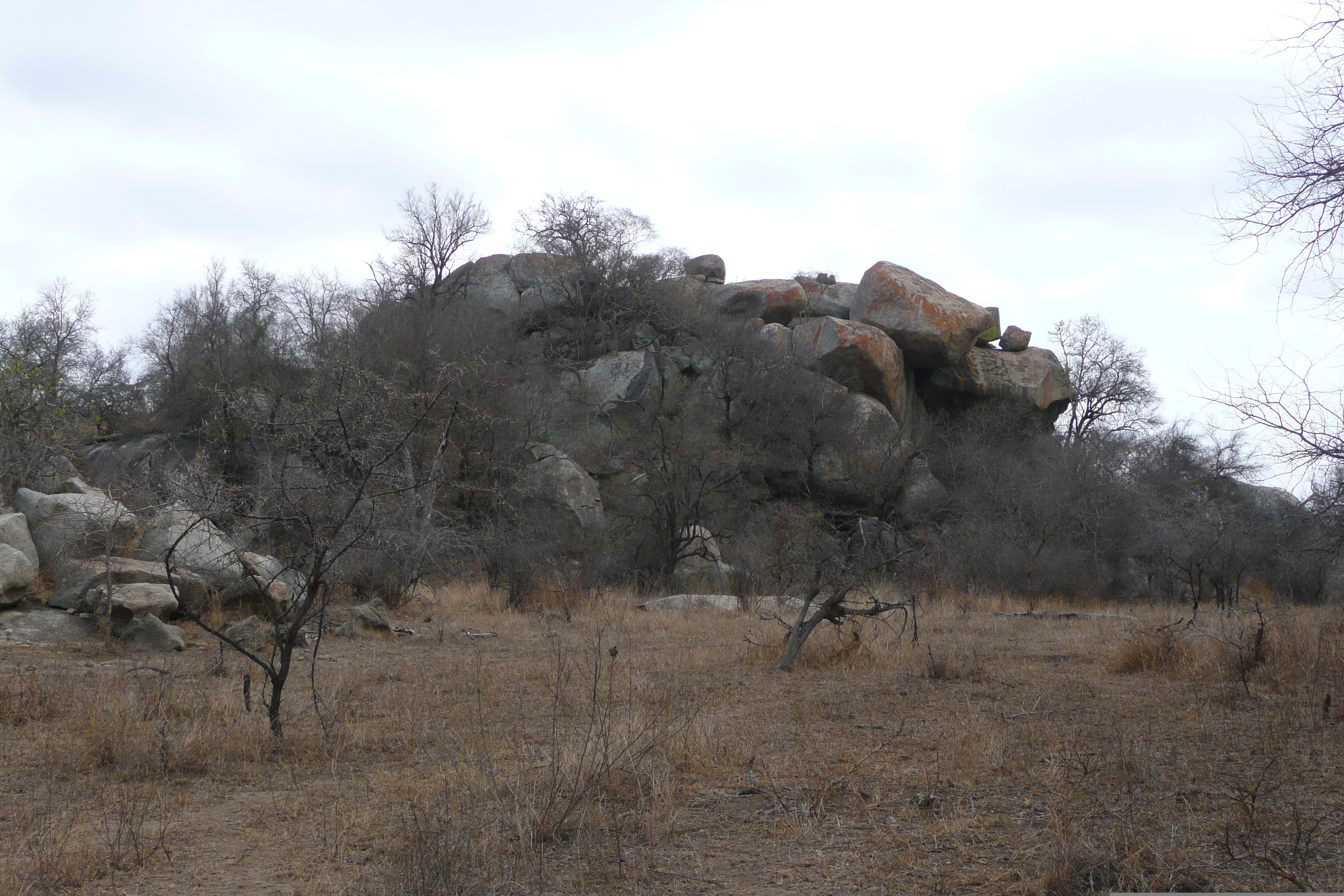 照片 南非(South Africa) 克鲁格国家公园(Kruger National Park) 2008-09 18