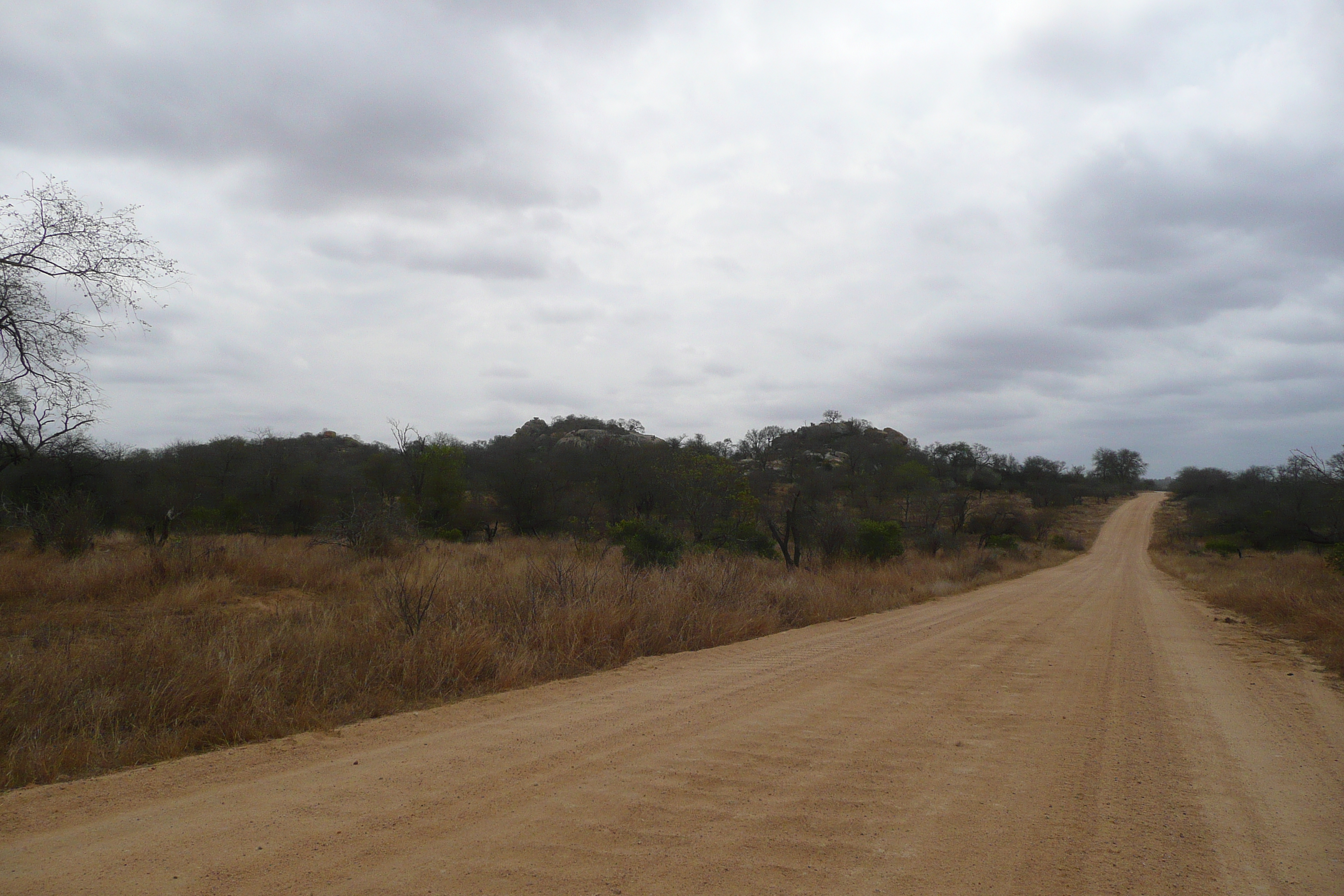 照片 南非(South Africa) 克鲁格国家公园(Kruger National Park) 2008-09 14