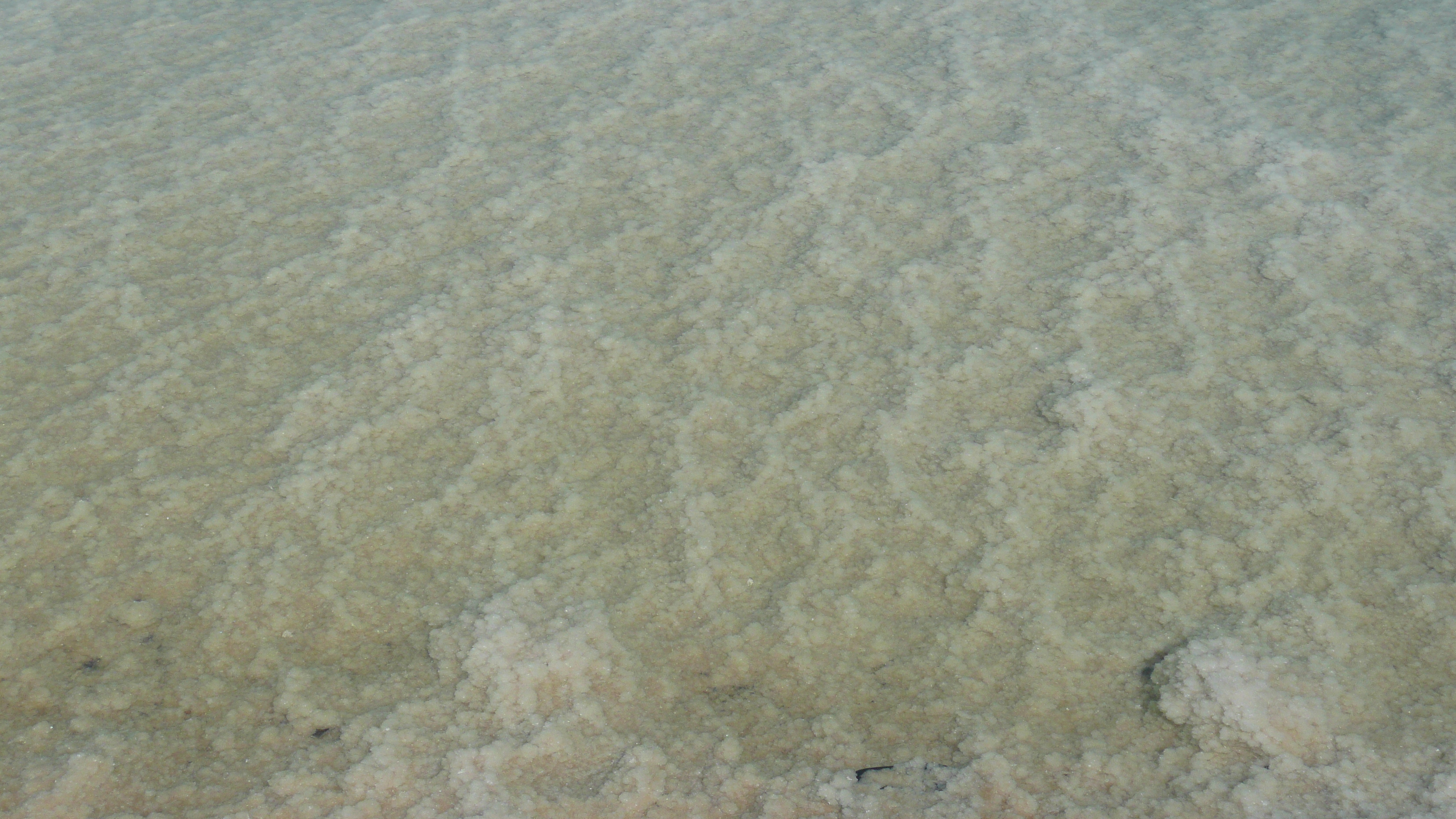 照片 以色列(Israel) 埃因博克(Boqeq) 2007-06 31