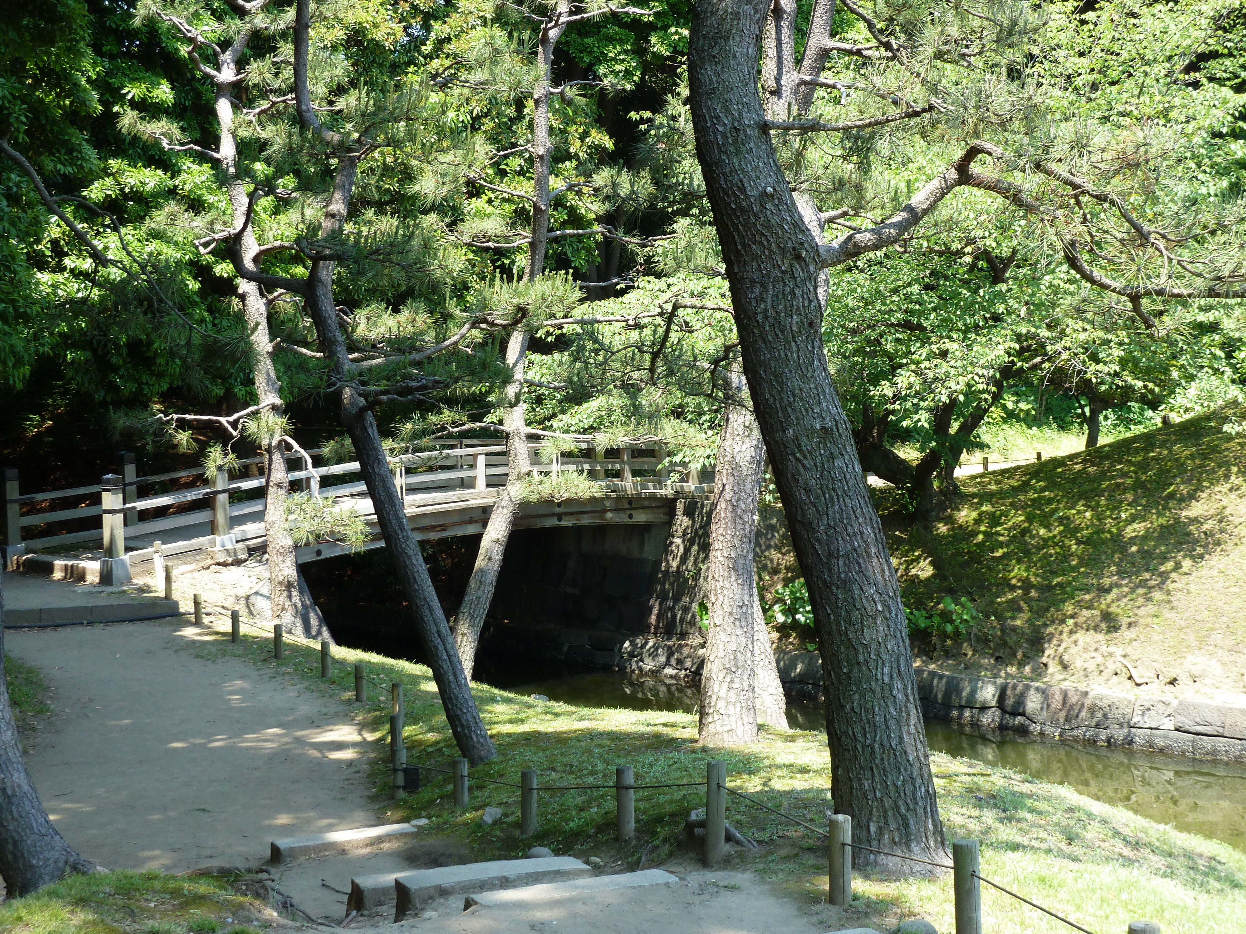 照片 日本(Japan) 东京(Tokyo) 滨离宫恩赐庭园(Hama rikyu Gardens) 2010-06 112