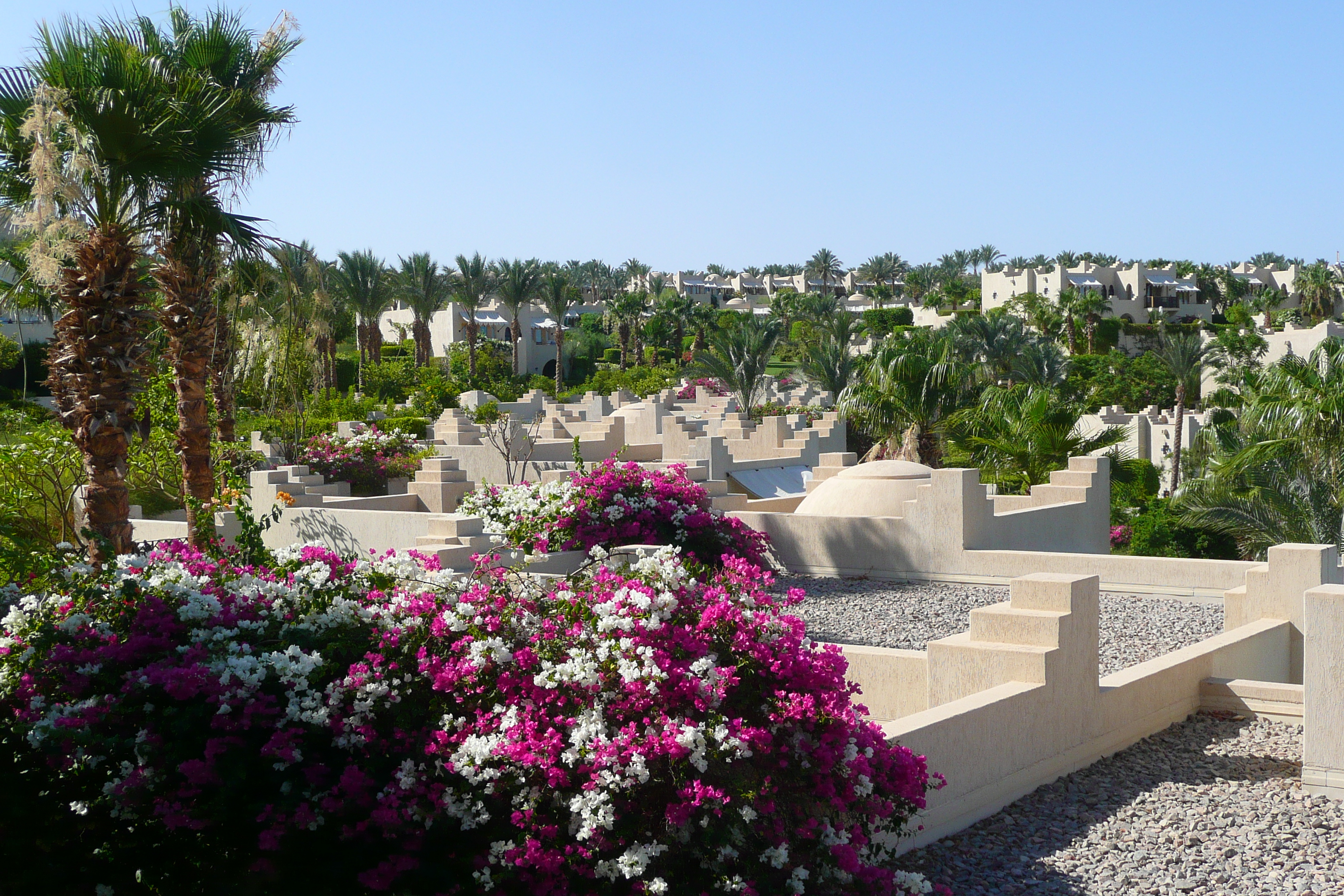 照片 埃及(Egypt) 沙姆沙伊赫(Sharm el Sheikh) 四季酒店(Four Seasons Hotel) 2008-06 14