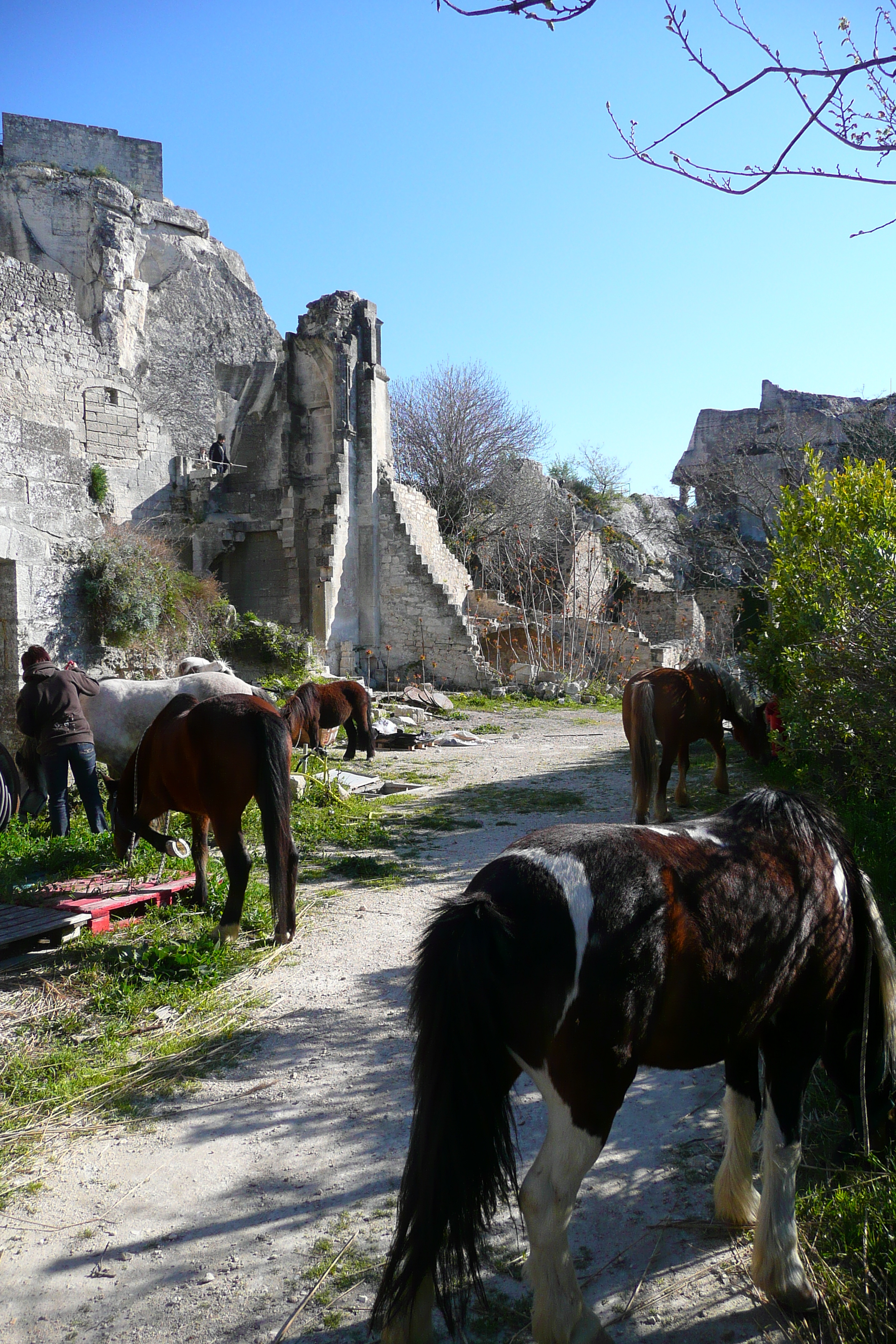 照片 法国(France) 莱博德普罗旺斯(Baux de Provence) 莱博城堡(Baux de Provence Castle) 2008-04 133